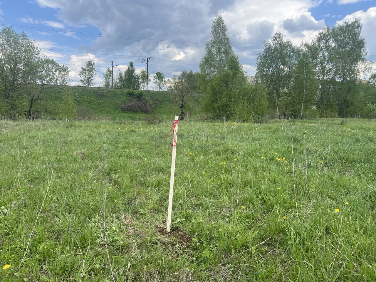 Коммерческая недвижимость (земельный участок), 200 м² - фото 3