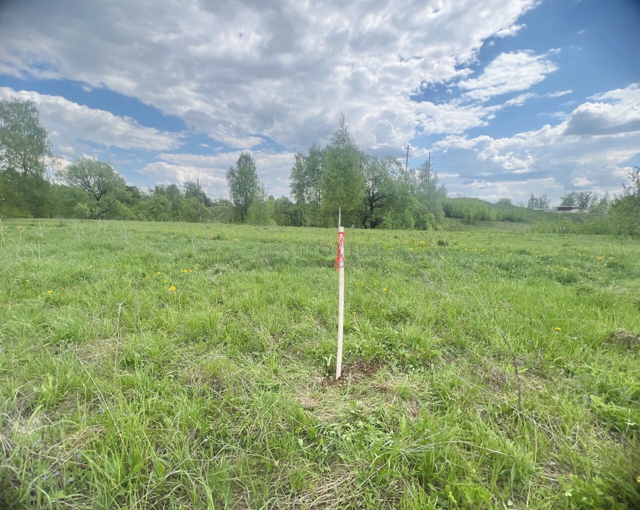 Коммерческая недвижимость (земельный участок), 200 м² - фото 5
