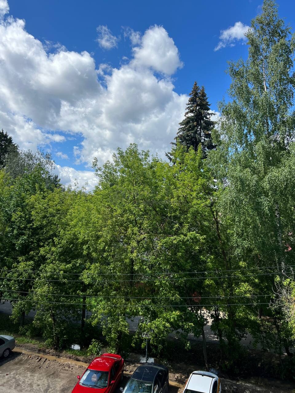 3-комнатная квартира, 68.5 м² - фото 20