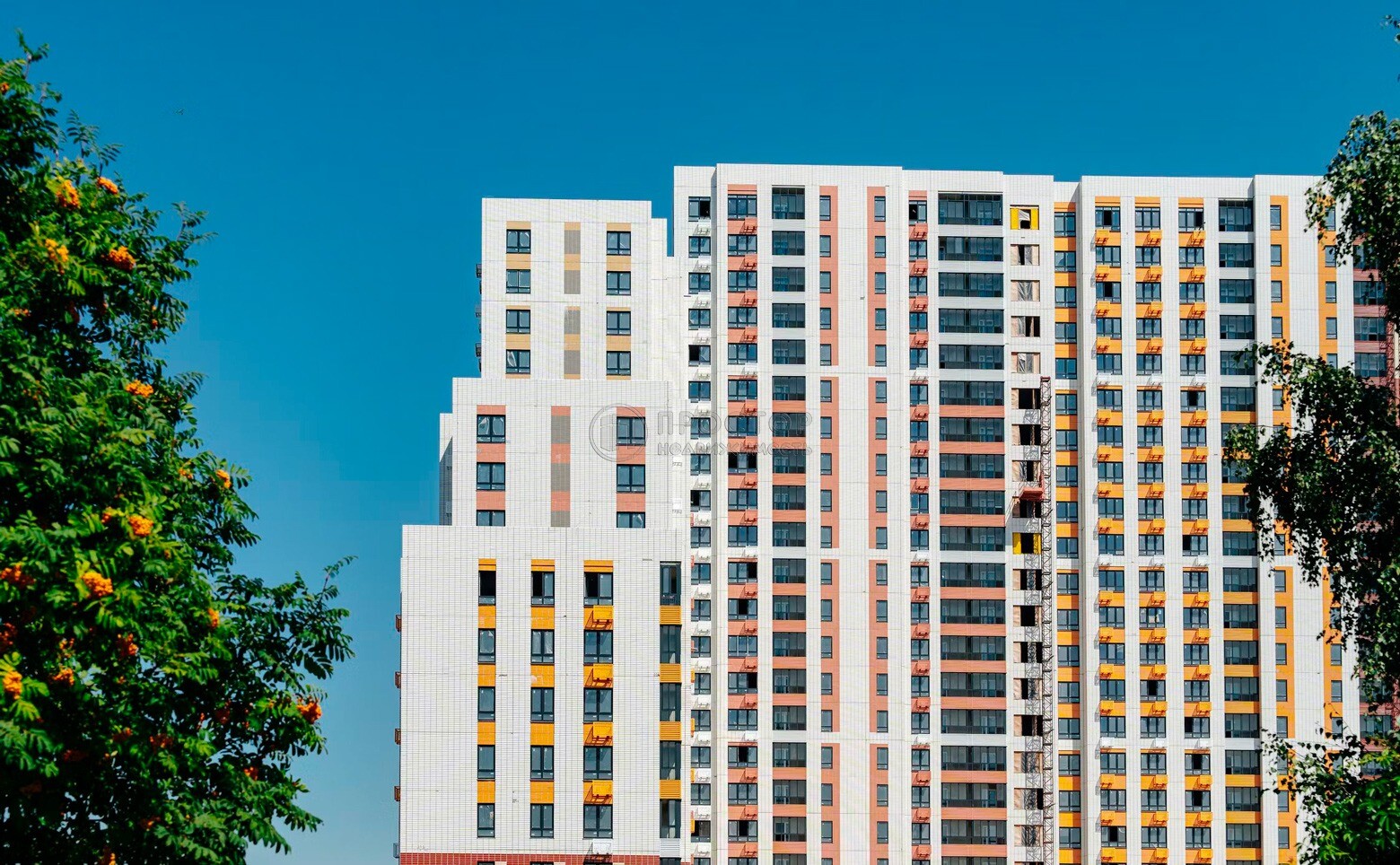 -комнатная квартира, 24.7 м² - фото 19