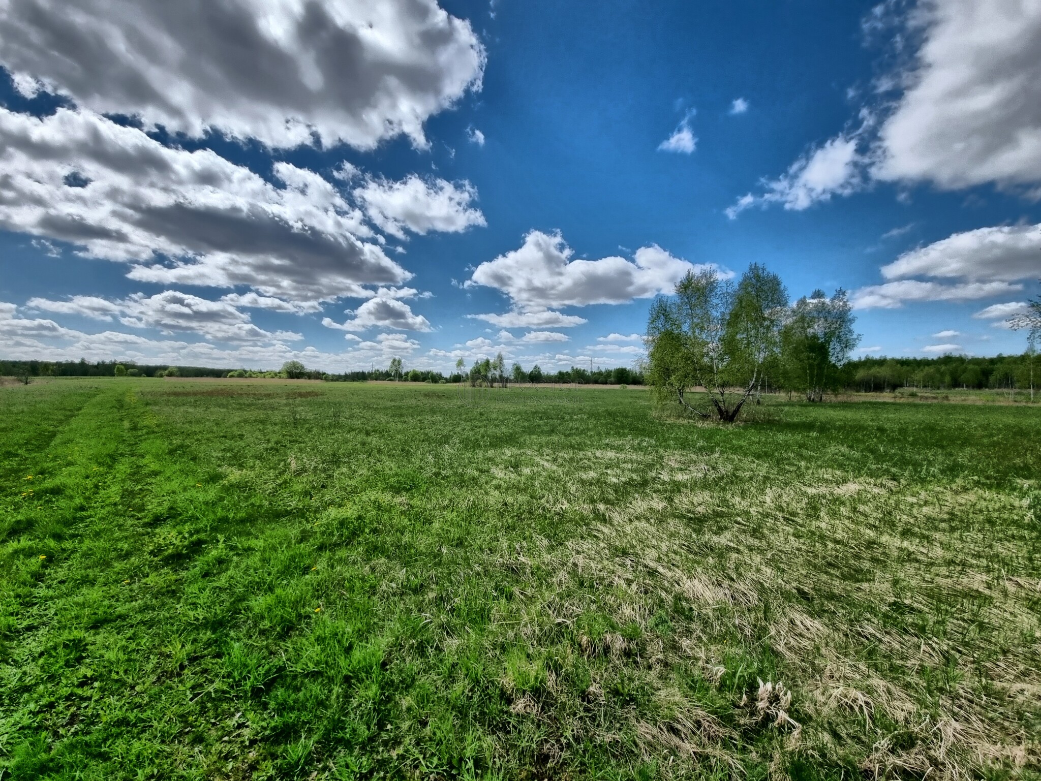 Коммерческая недвижимость (земельный участок), 2585 м² - фото 17