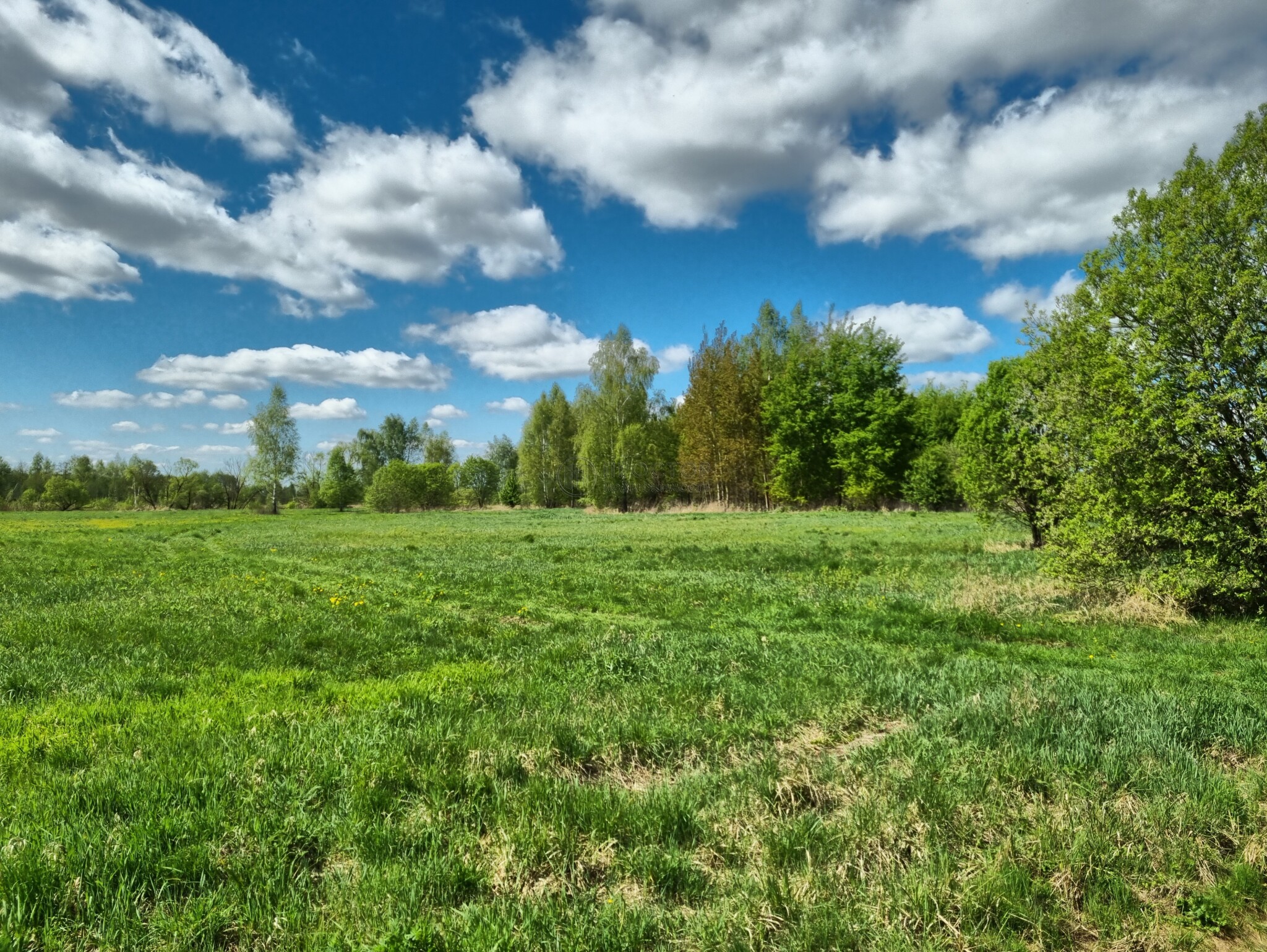 Коммерческая недвижимость (земельный участок), 2585 м² - фото 6