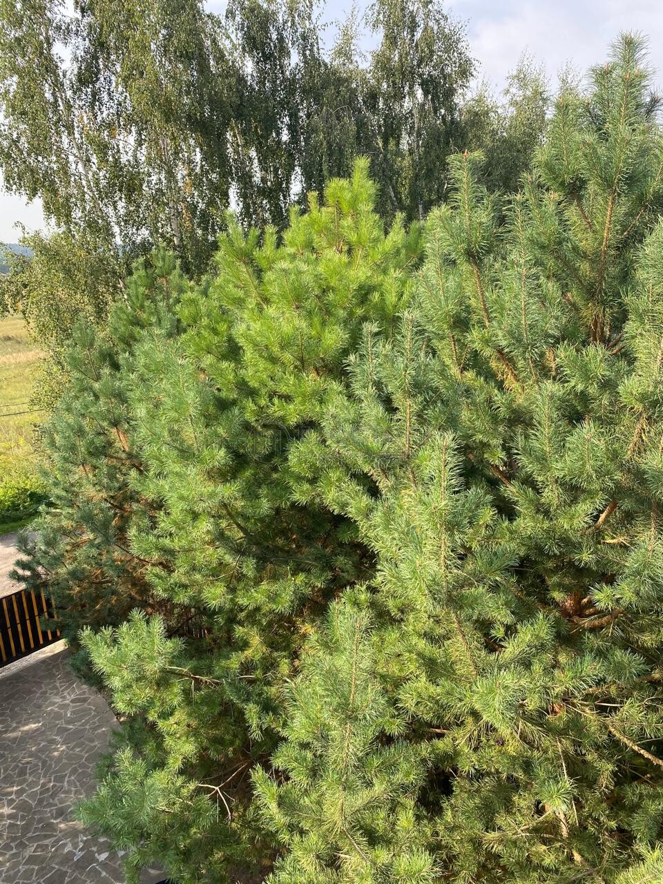 дом, 181.7 м² - фото 8