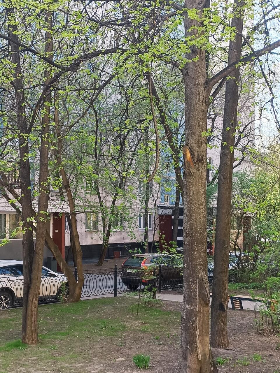 4-комнатная квартира, 75 м² - фото 12