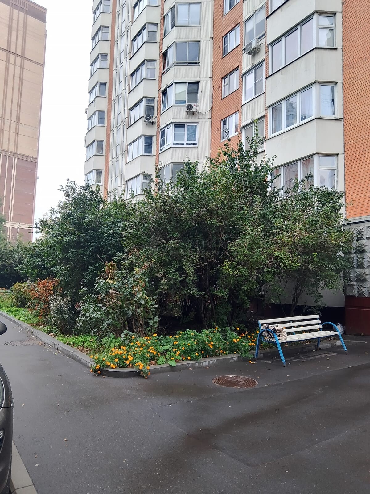 3-комнатная квартира, 76.1 м² - фото 4