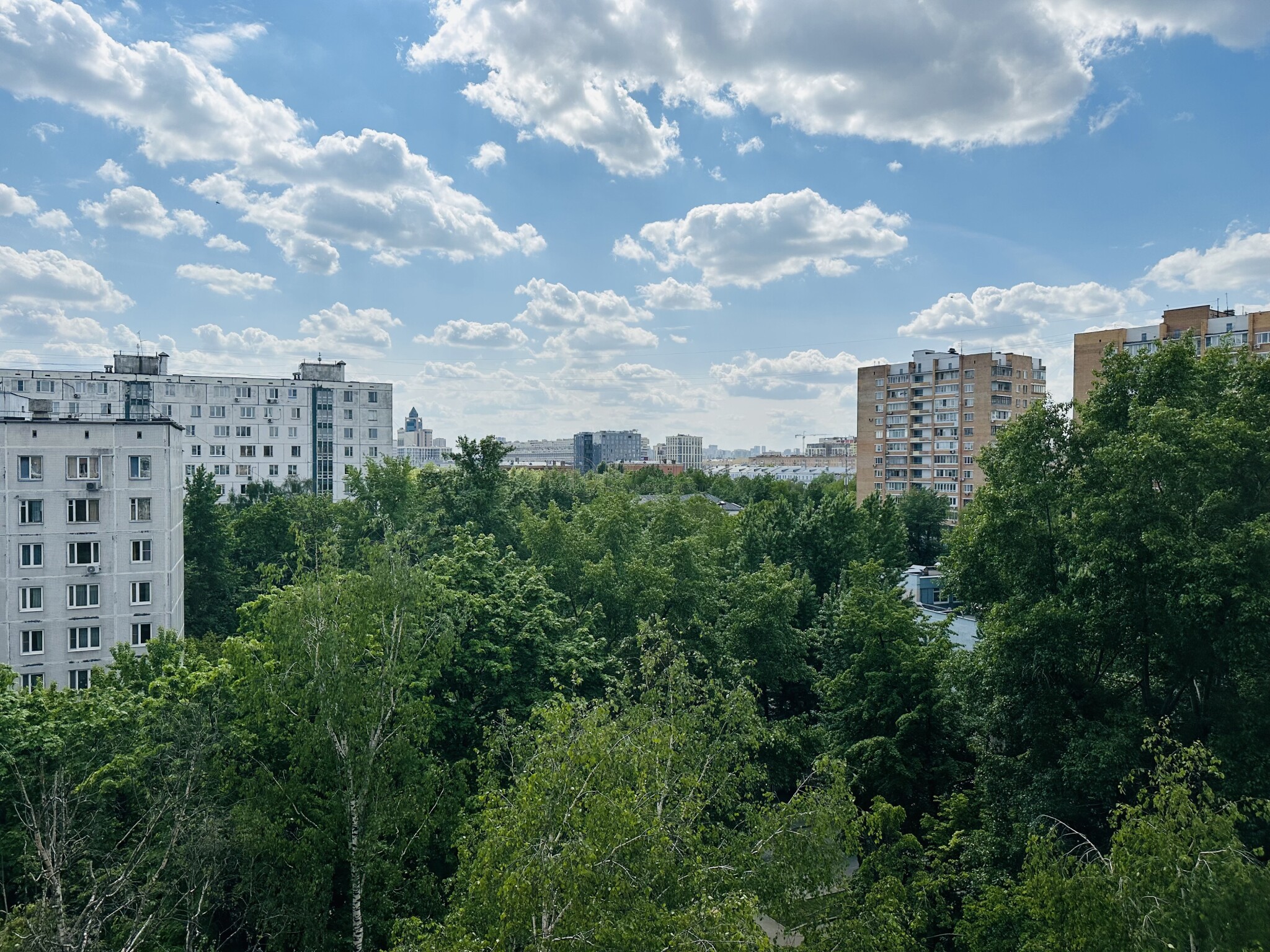 2-комнатная квартира, 51.2 м² - фото 22