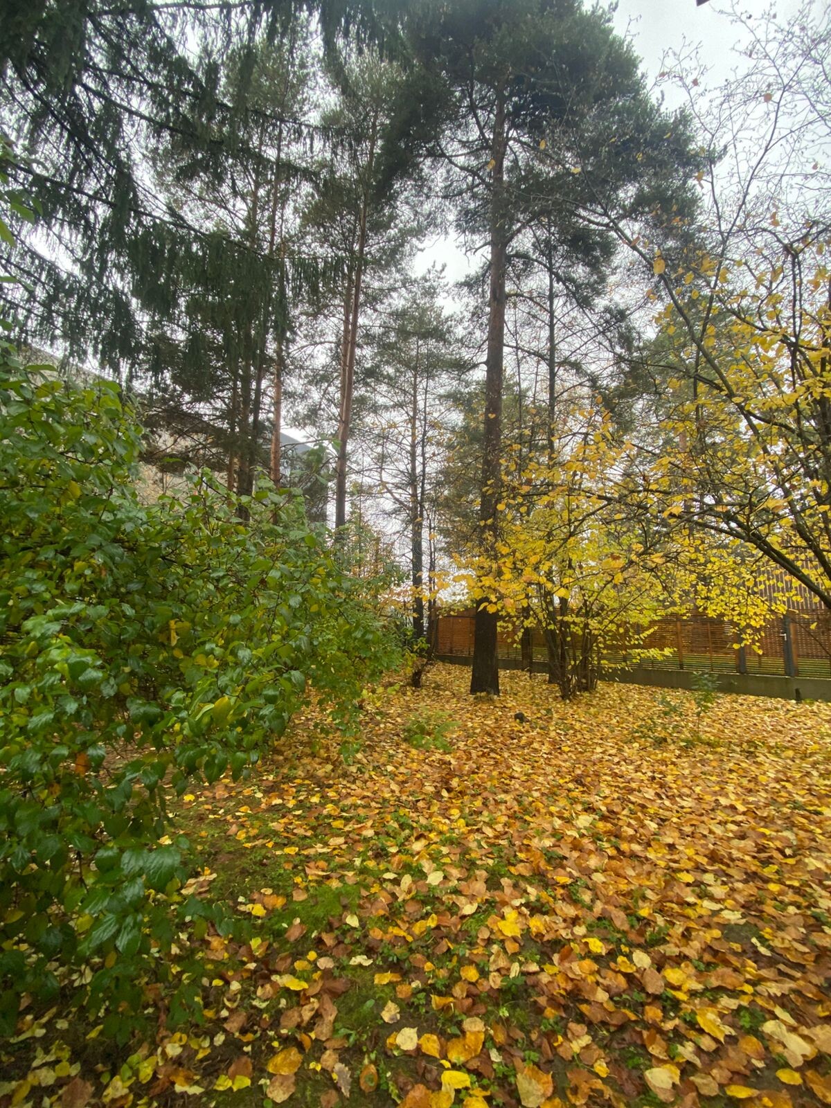 Участок, 12 сот. - фото 6