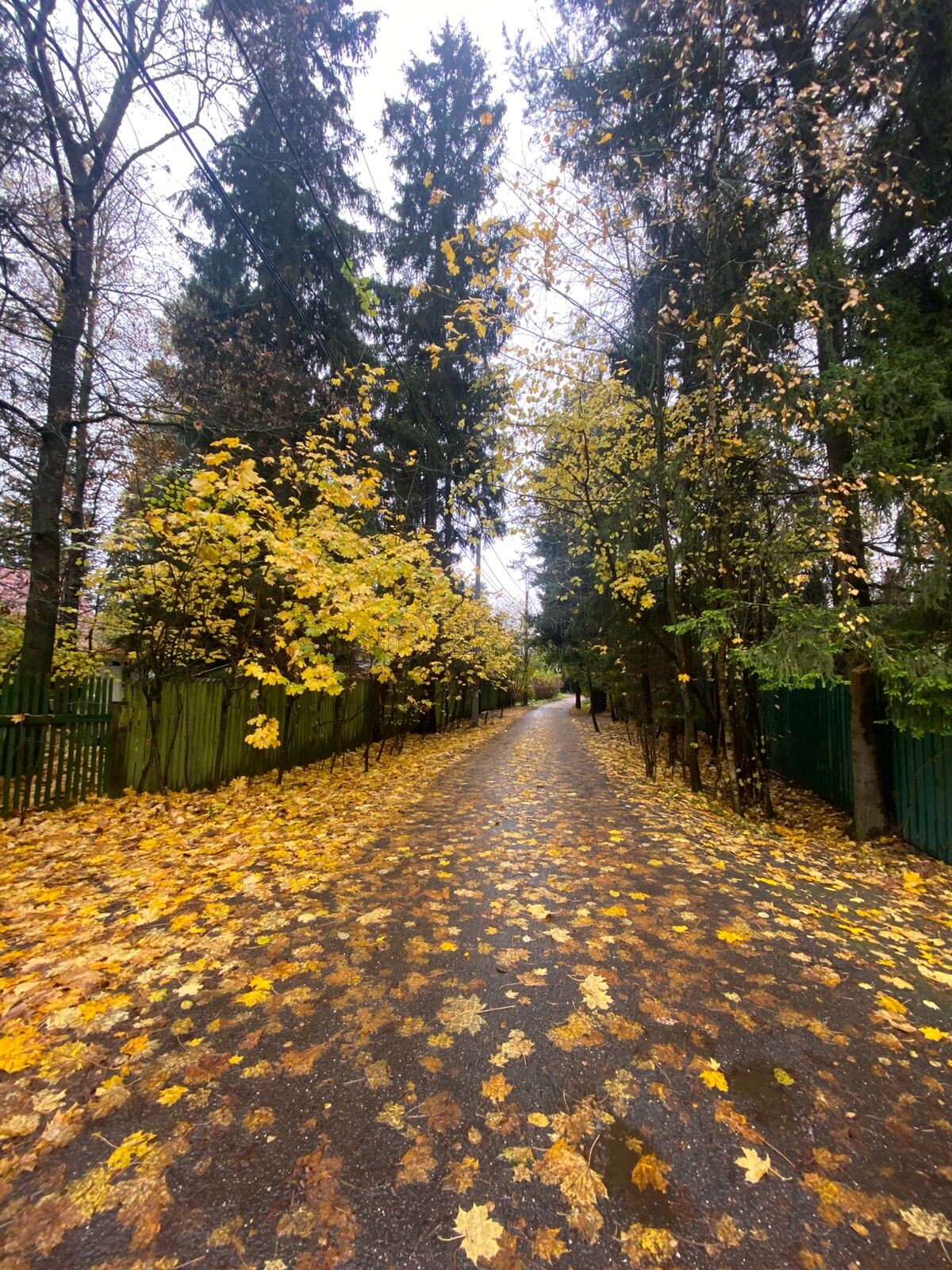 Участок, 12 сот. - фото 7