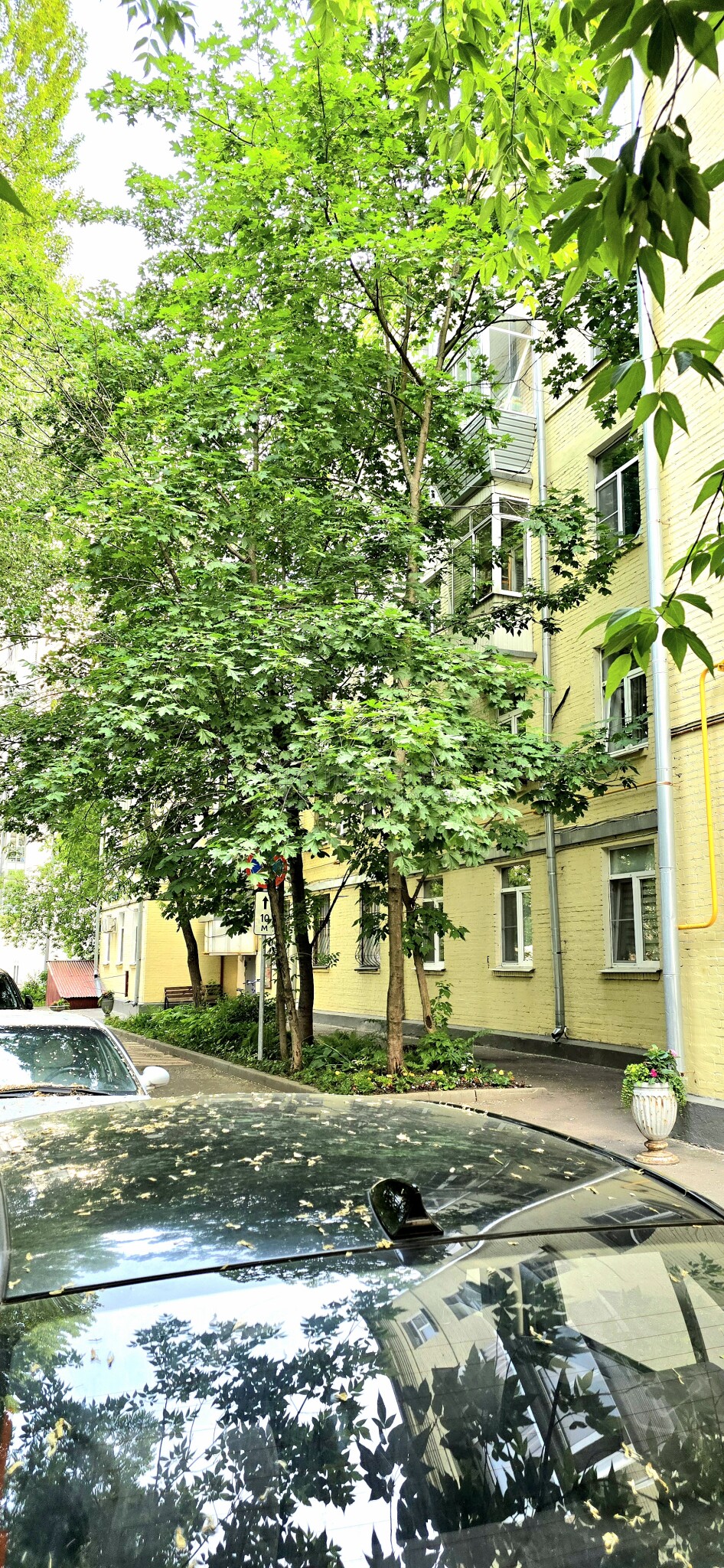 2-комнатная квартира, 52 м² - фото 85