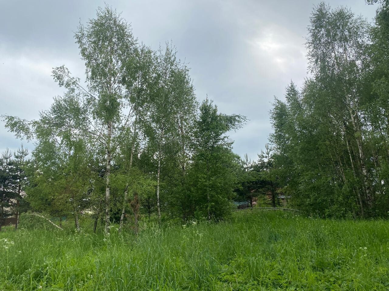 Коммерческая недвижимость (земельный участок), 165 м² - фото 57