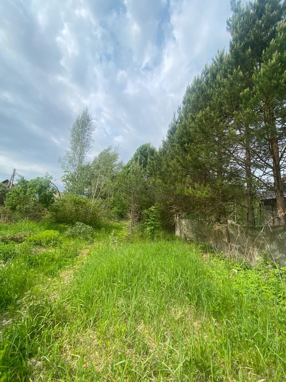 Коммерческая недвижимость (земельный участок), 165 м² - фото 5