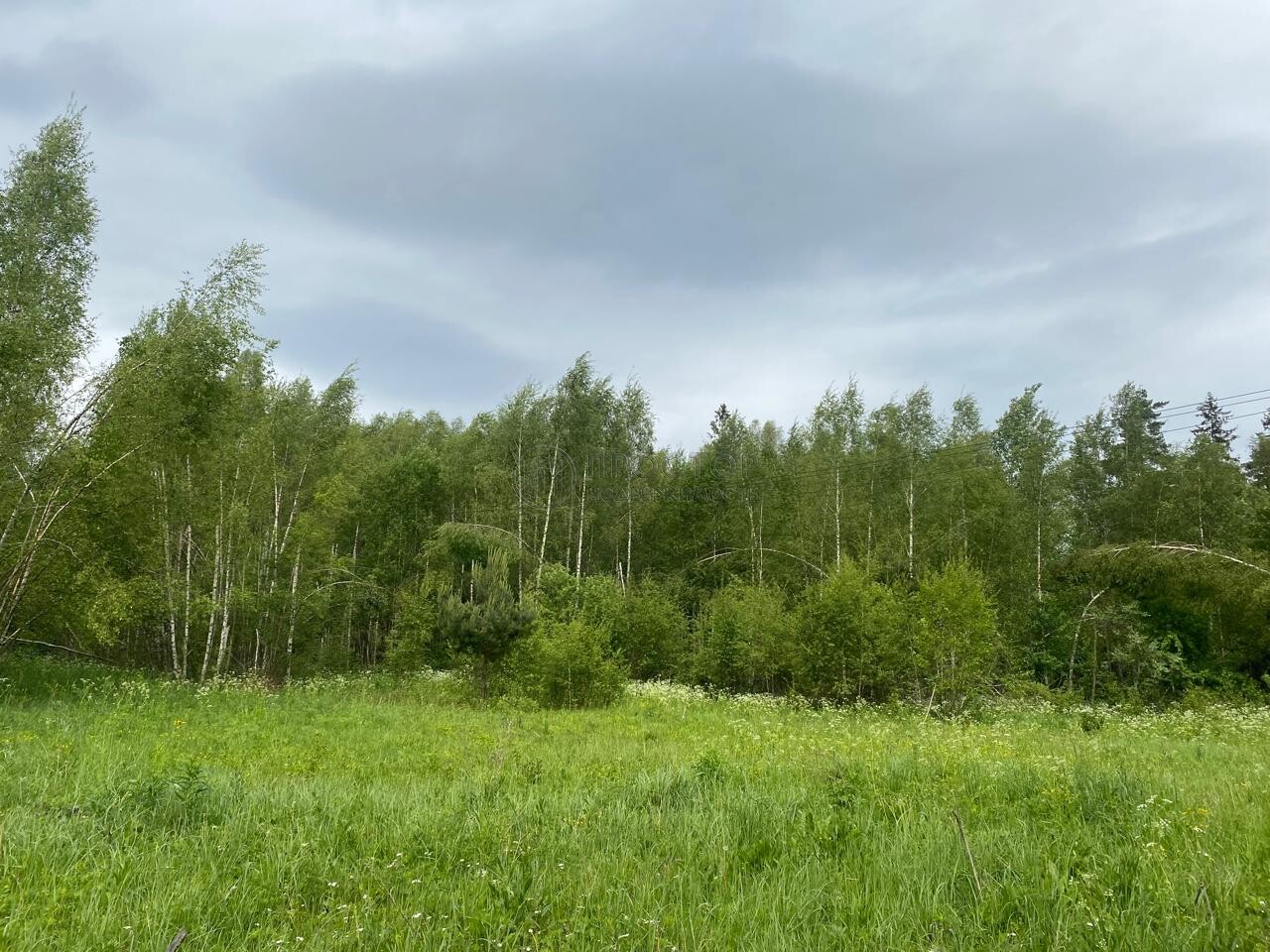 Коммерческая недвижимость (земельный участок), 165 м² - фото 77