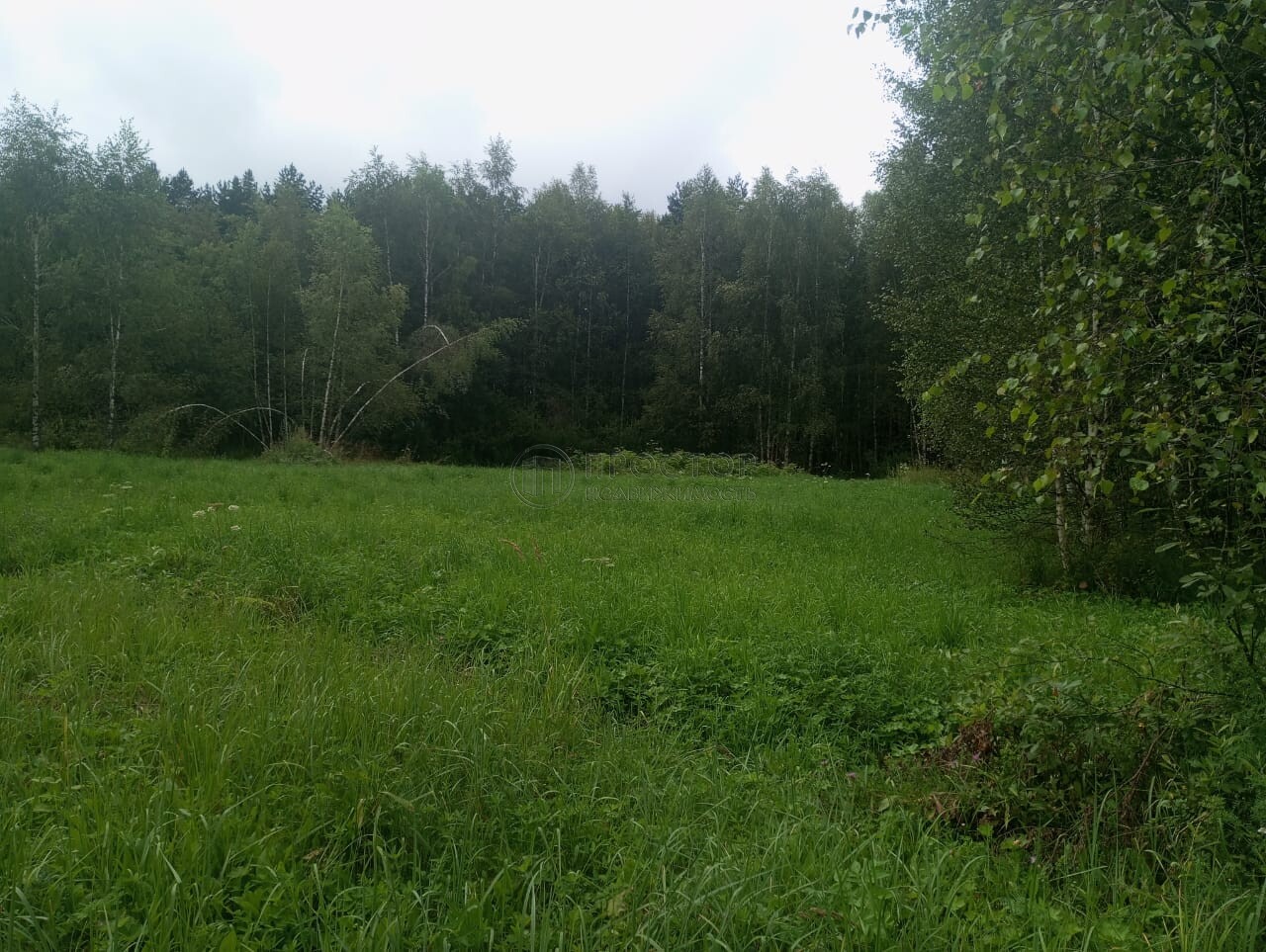 Коммерческая недвижимость (земельный участок), 165 м² - фото 9