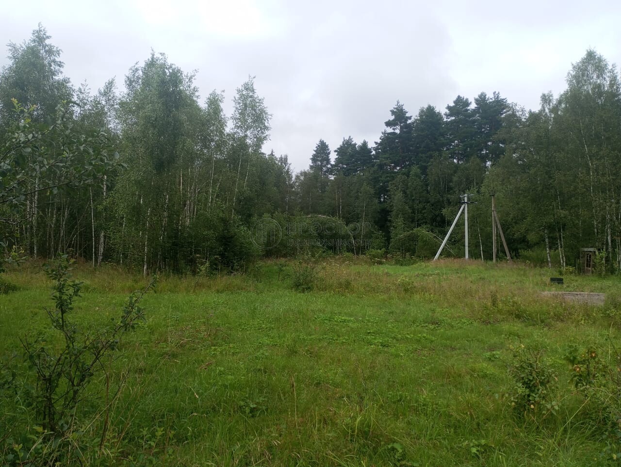 Коммерческая недвижимость (земельный участок), 165 м² - фото 13