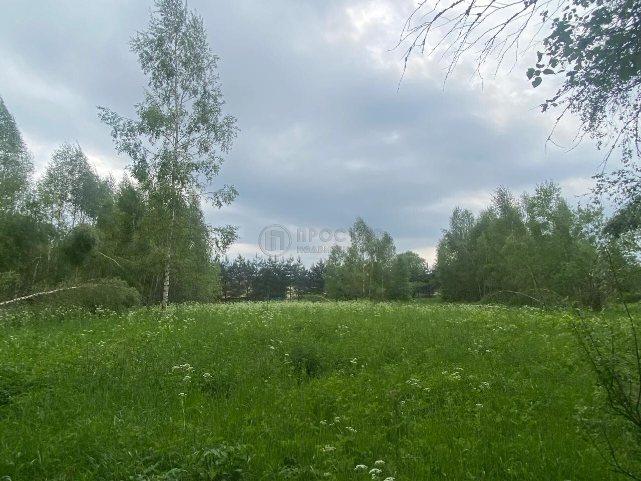 Коммерческая недвижимость (земельный участок), 165 м² - фото 17