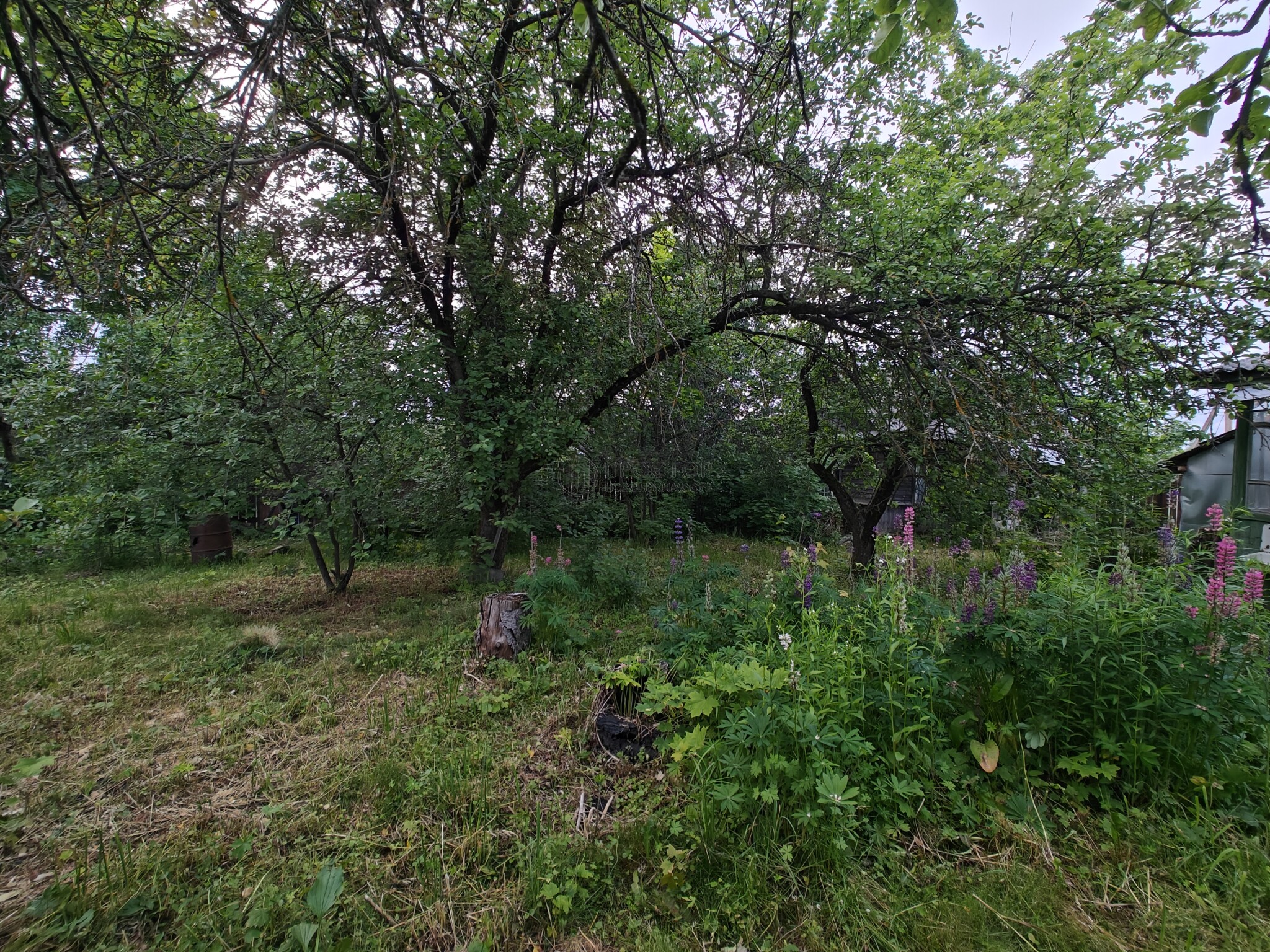 Участок, 19 сот. - фото 16