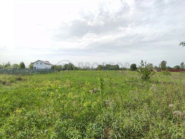 Коммерческая недвижимость (земельный участок), 600 м² - фото 4