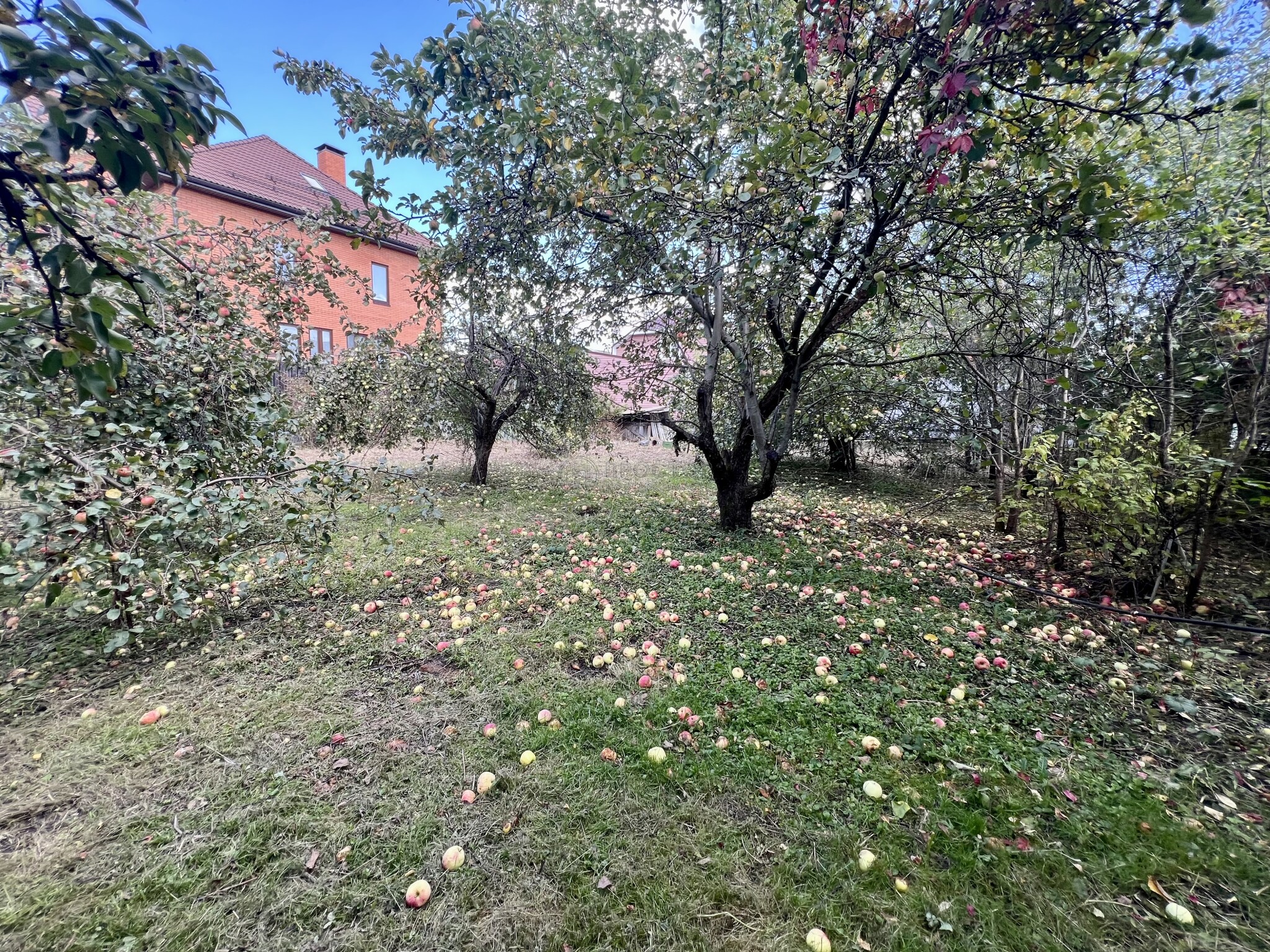 Участок, 6.2 сот. - фото 18