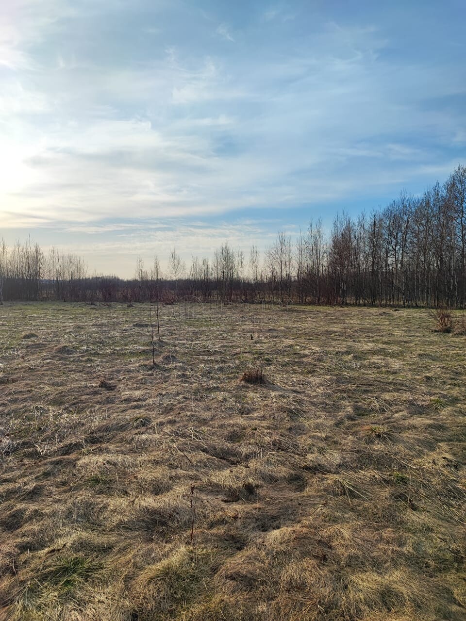 Участок, 21.14 сот. - фото 6