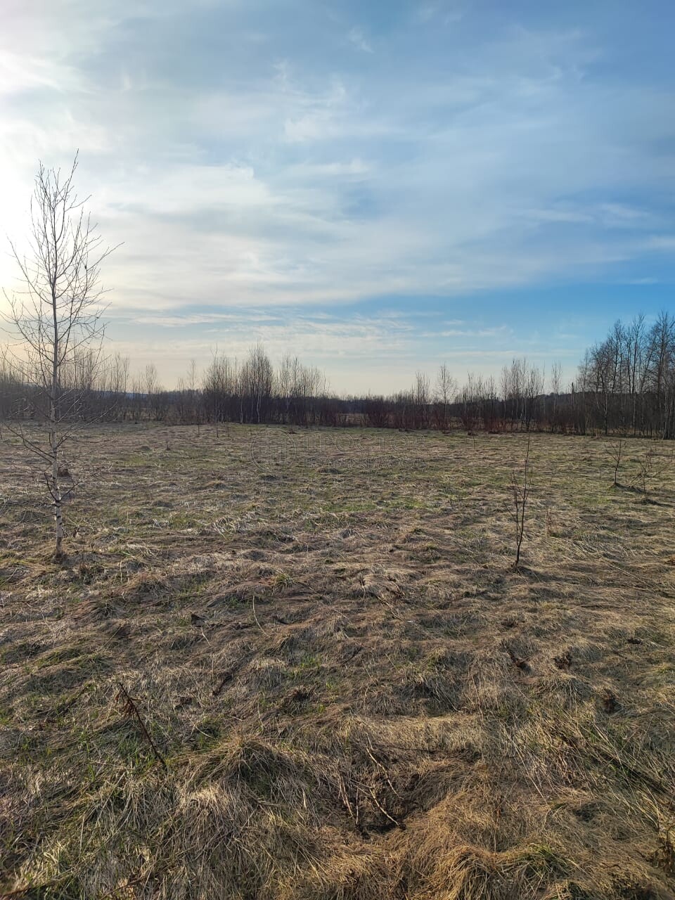 Участок, 21.14 сот. - фото 12