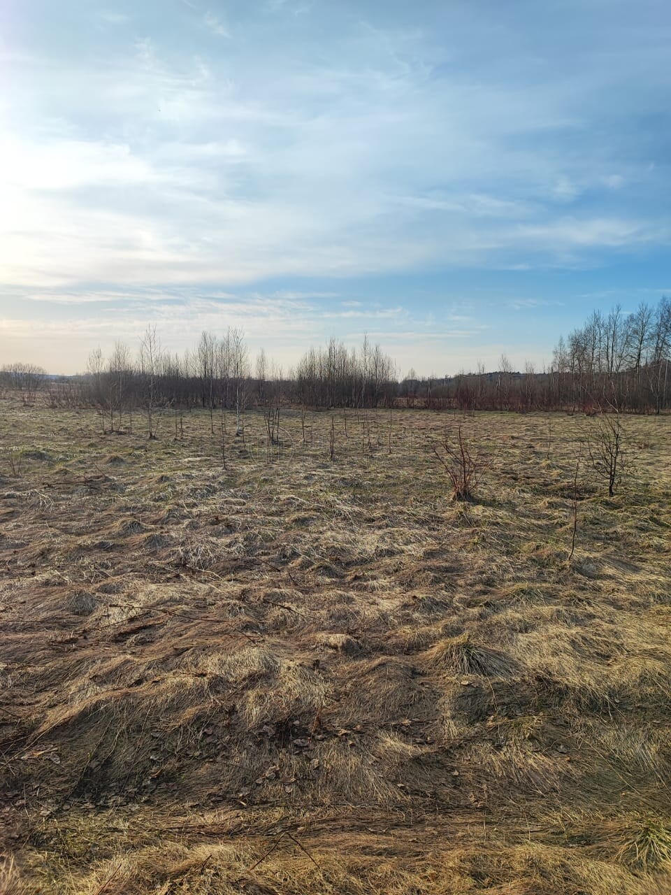 Участок, 21.14 сот. - фото 14