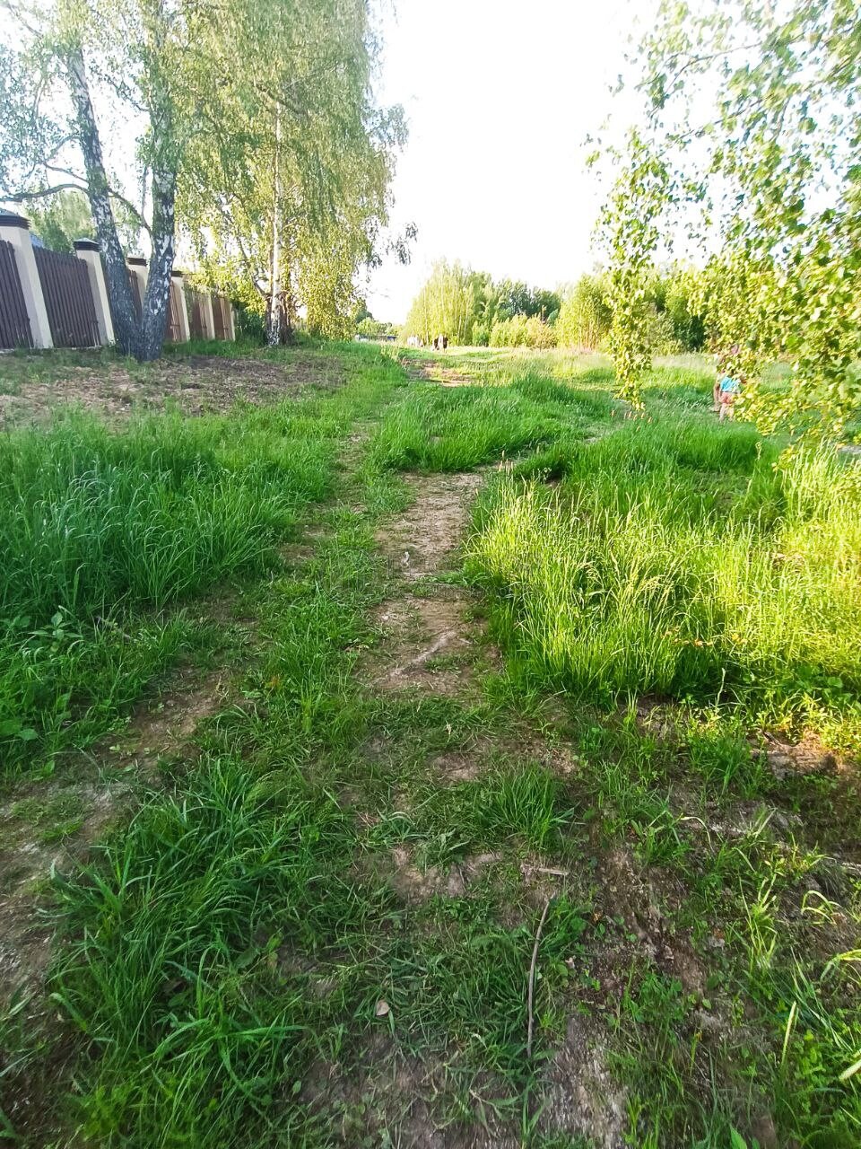 Участок, 10 сот. - фото 3