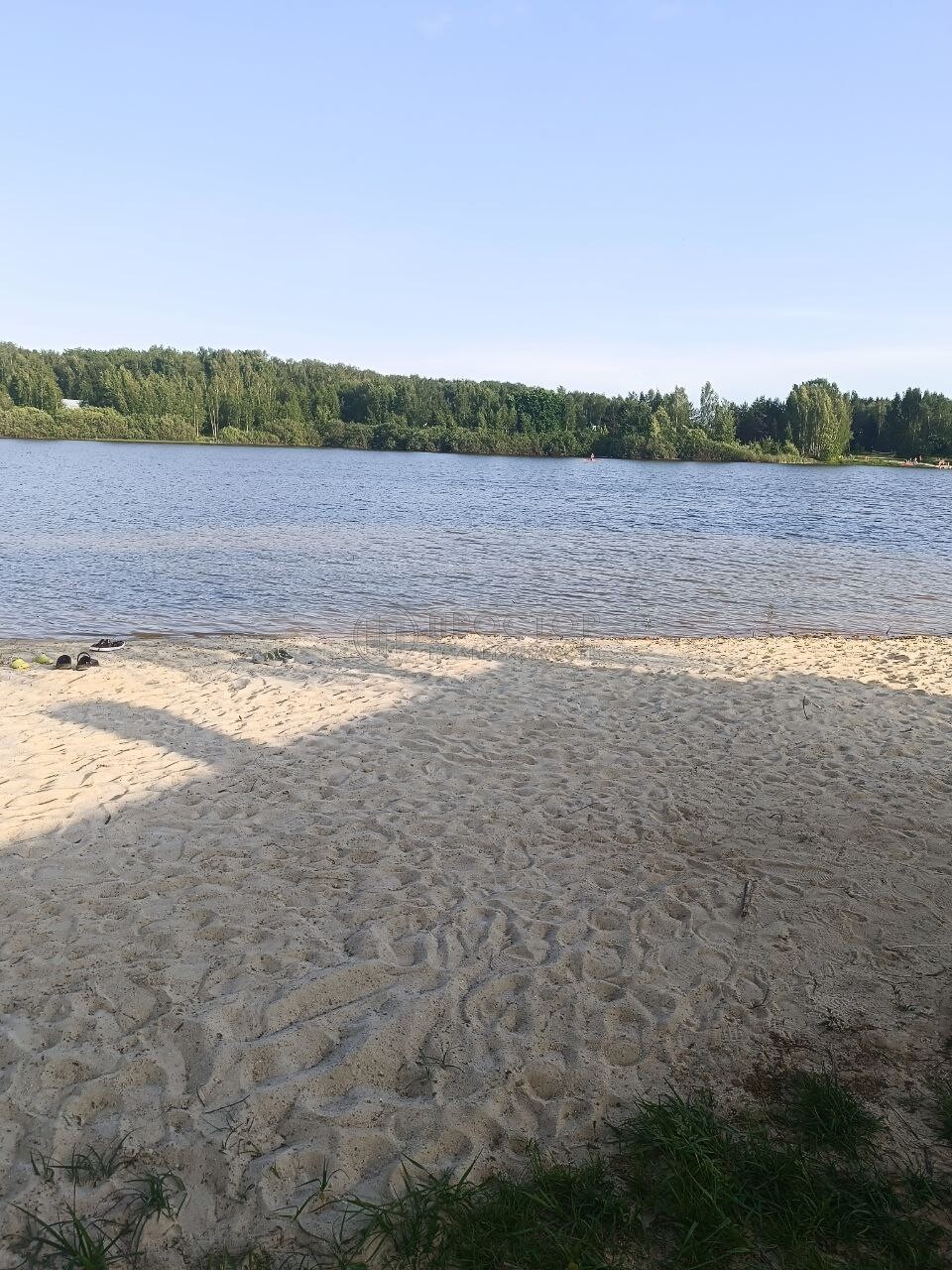 Участок, 10 сот. - фото 5