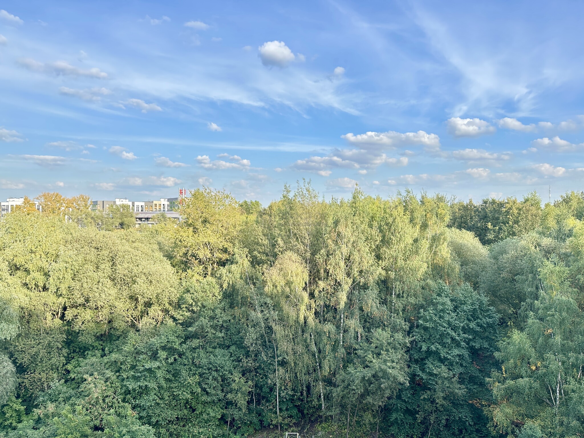 3-комнатная квартира, 58.5 м² - фото 26