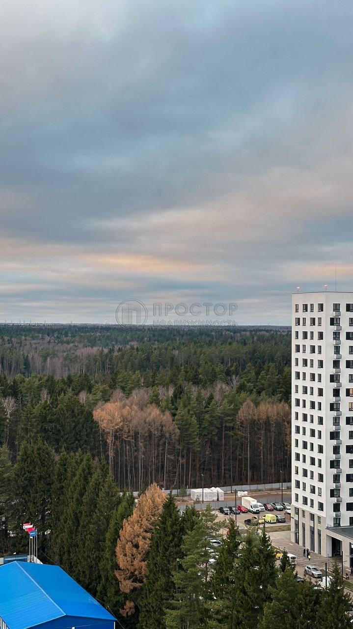 1-комнатная квартира, 31.8 м² - фото 32