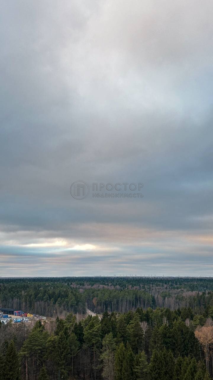 1-комнатная квартира, 31.8 м² - фото 43