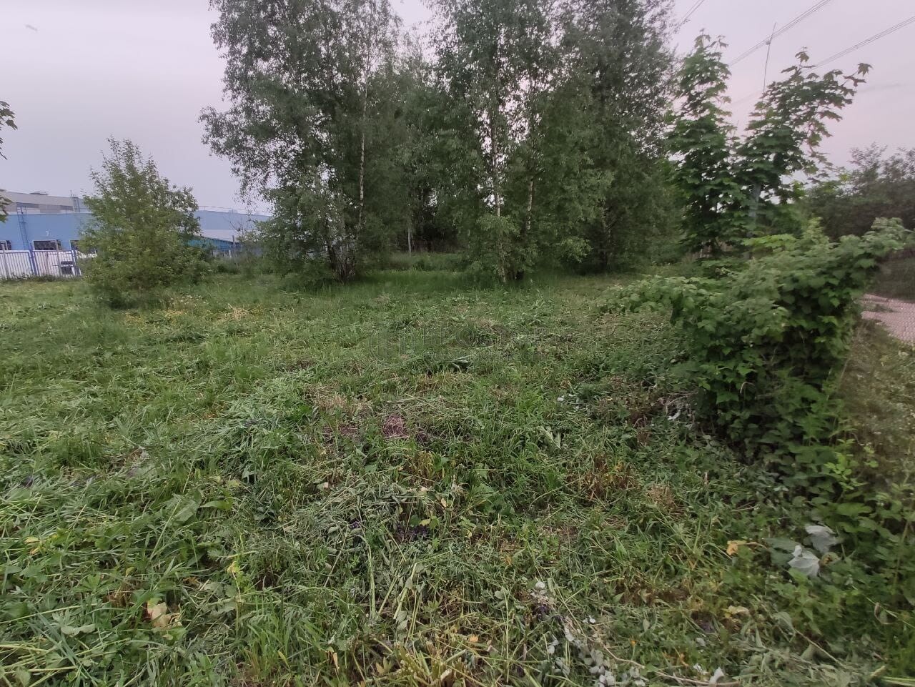 Участок, 9.5 сот. - фото 10