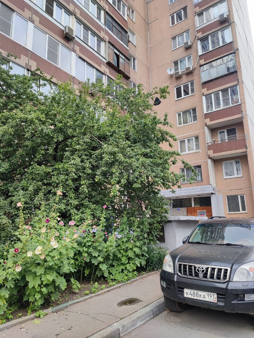3-комнатная квартира, 81 м² - фото 5