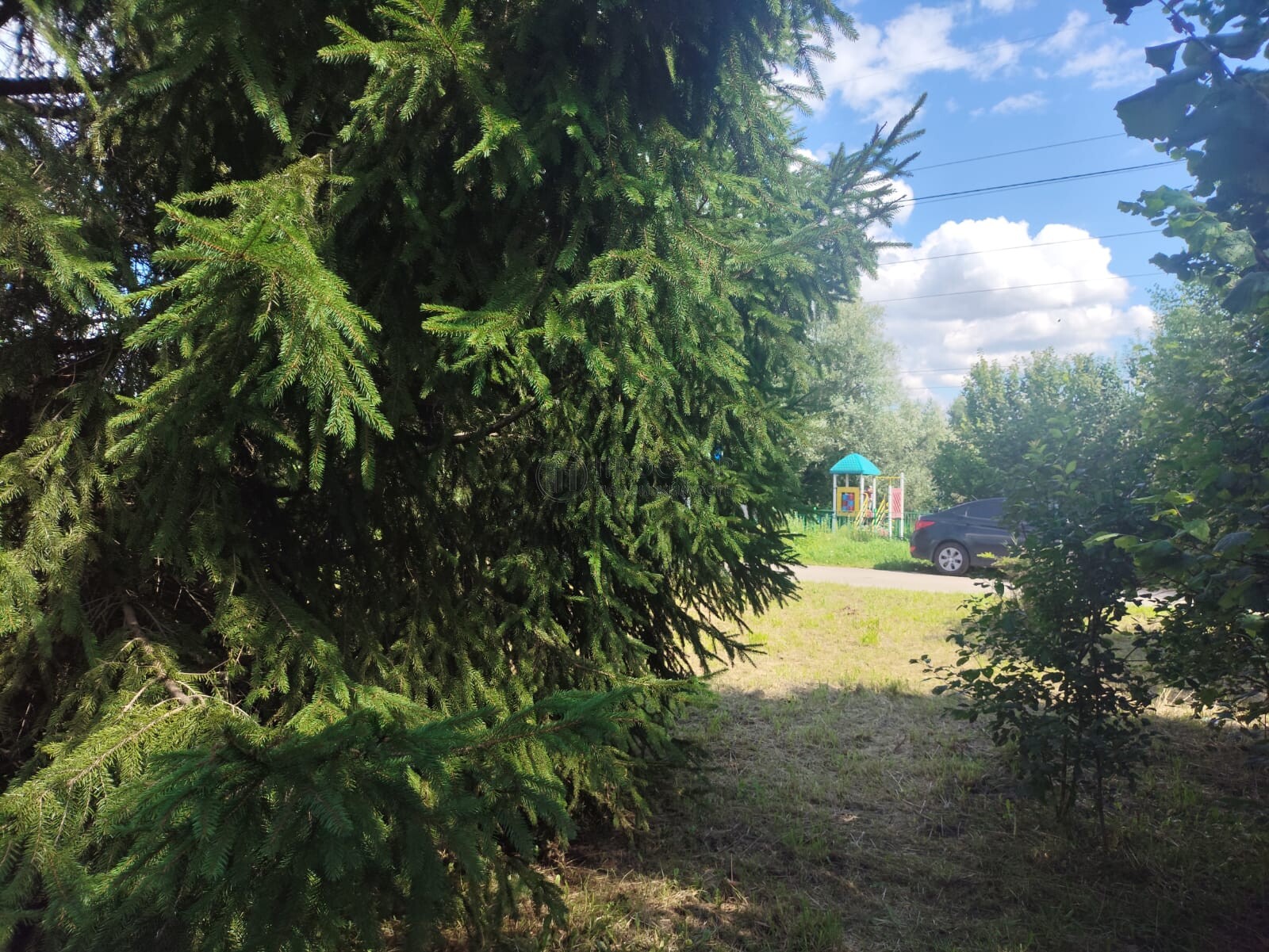 Участок, 6 сот. - фото 236