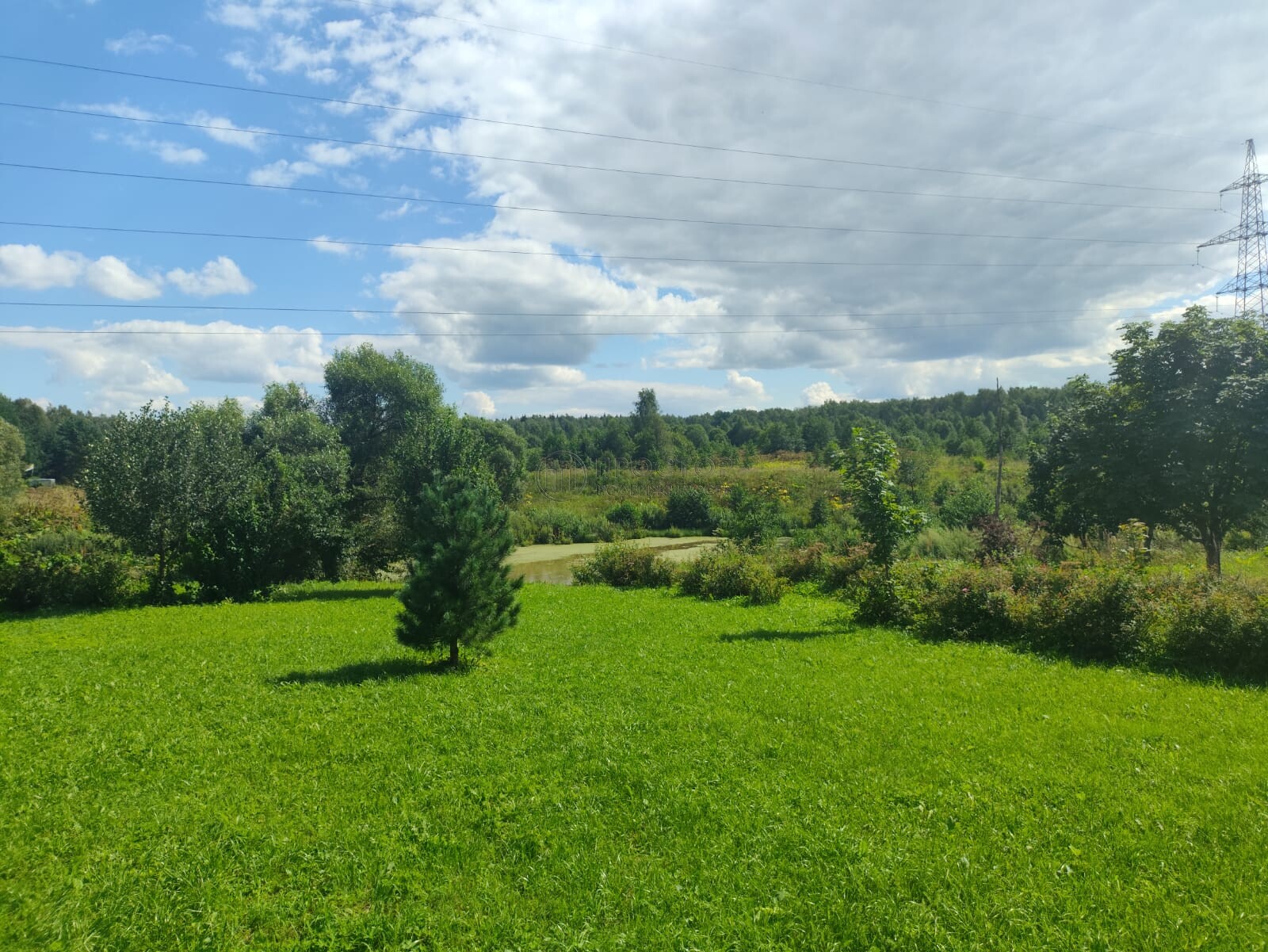 Участок, 6 сот. - фото 7