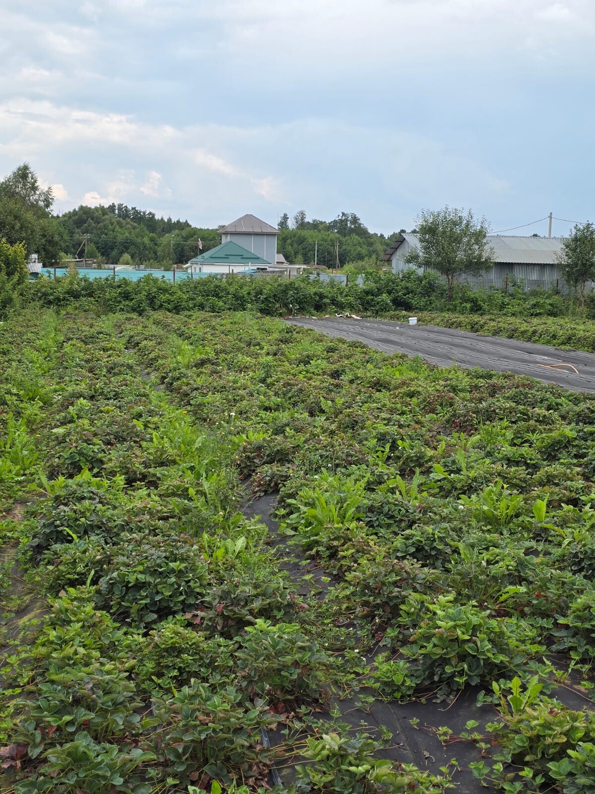 дом, 80.8 м² - фото 9