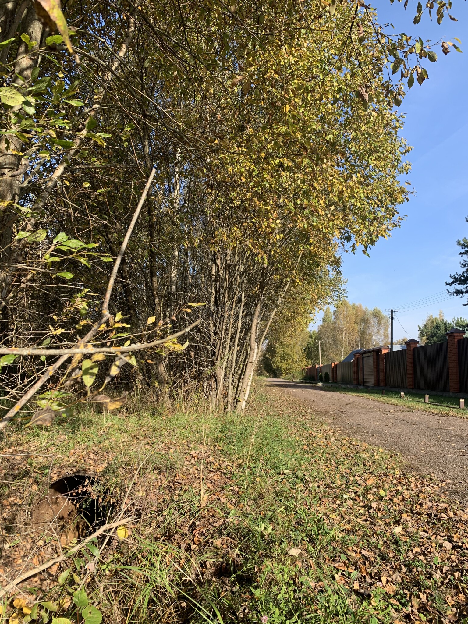 Участок, 15 сот. - фото 3