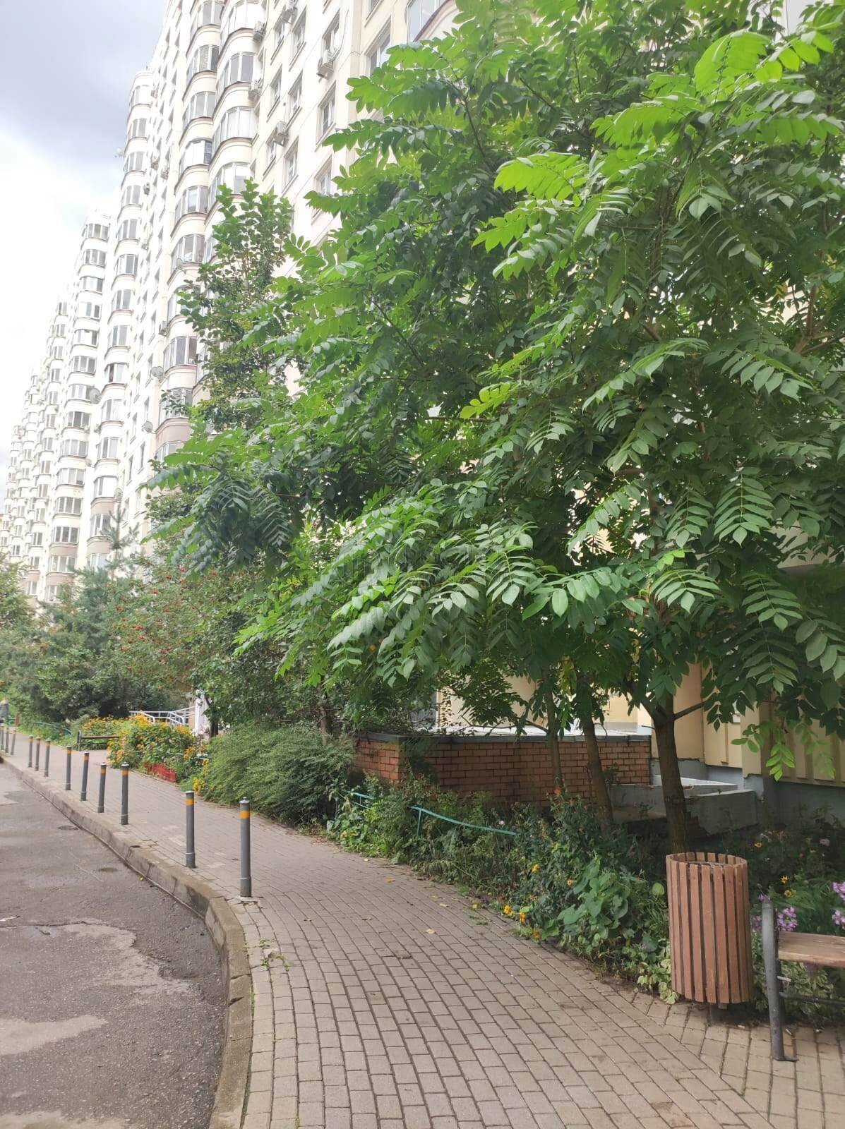 3-комнатная квартира, 74.6 м² - фото 949