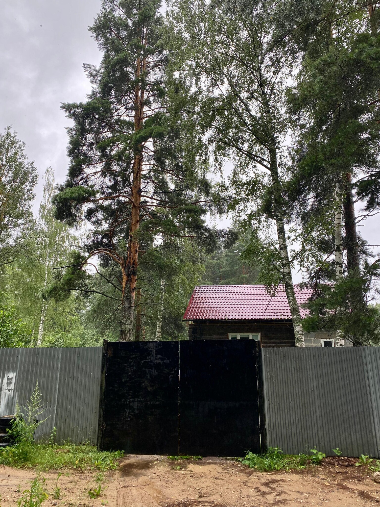 дом, 50 м² - фото 434