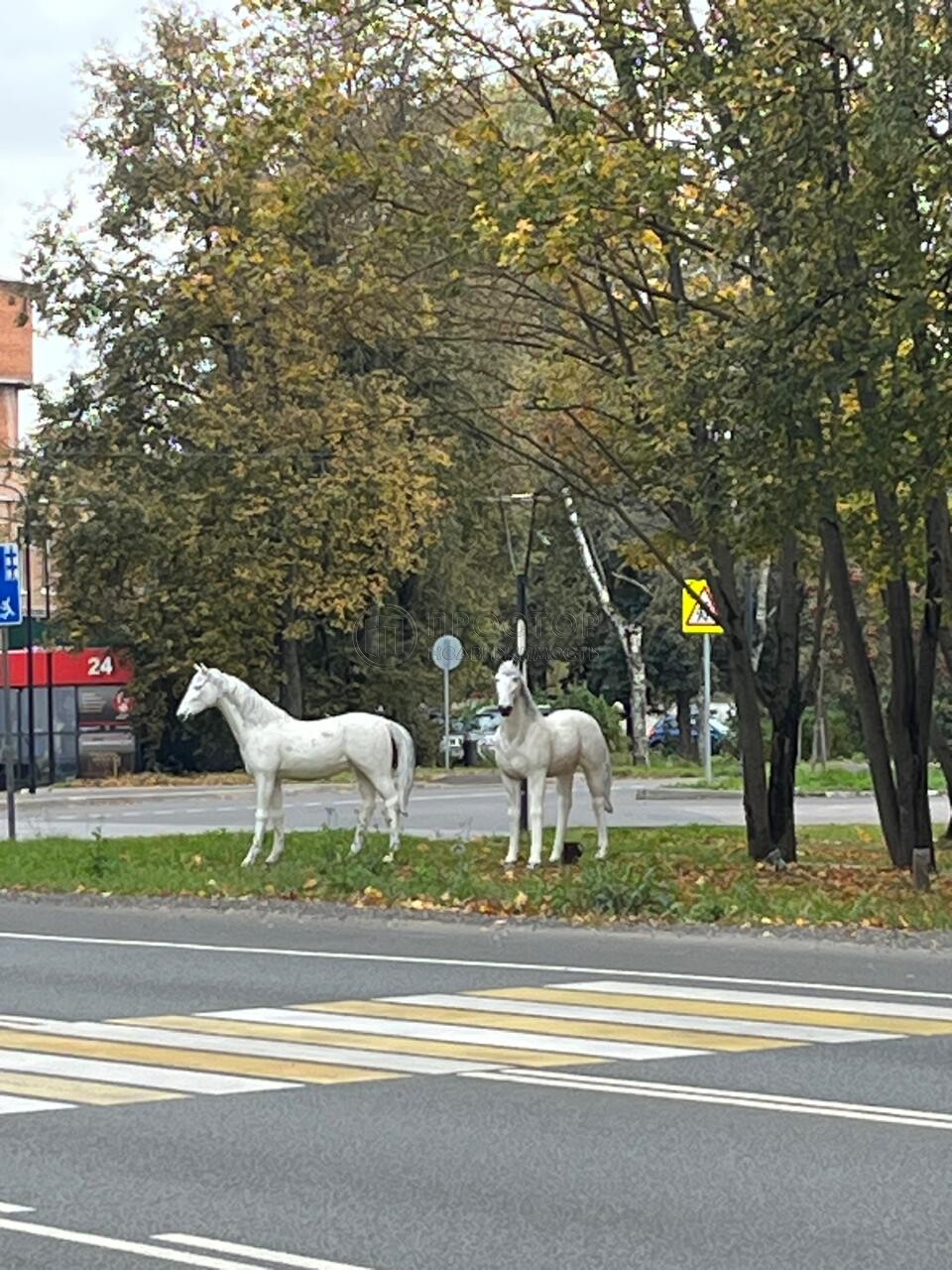 2-комнатная квартира, 39.7 м² - фото 310