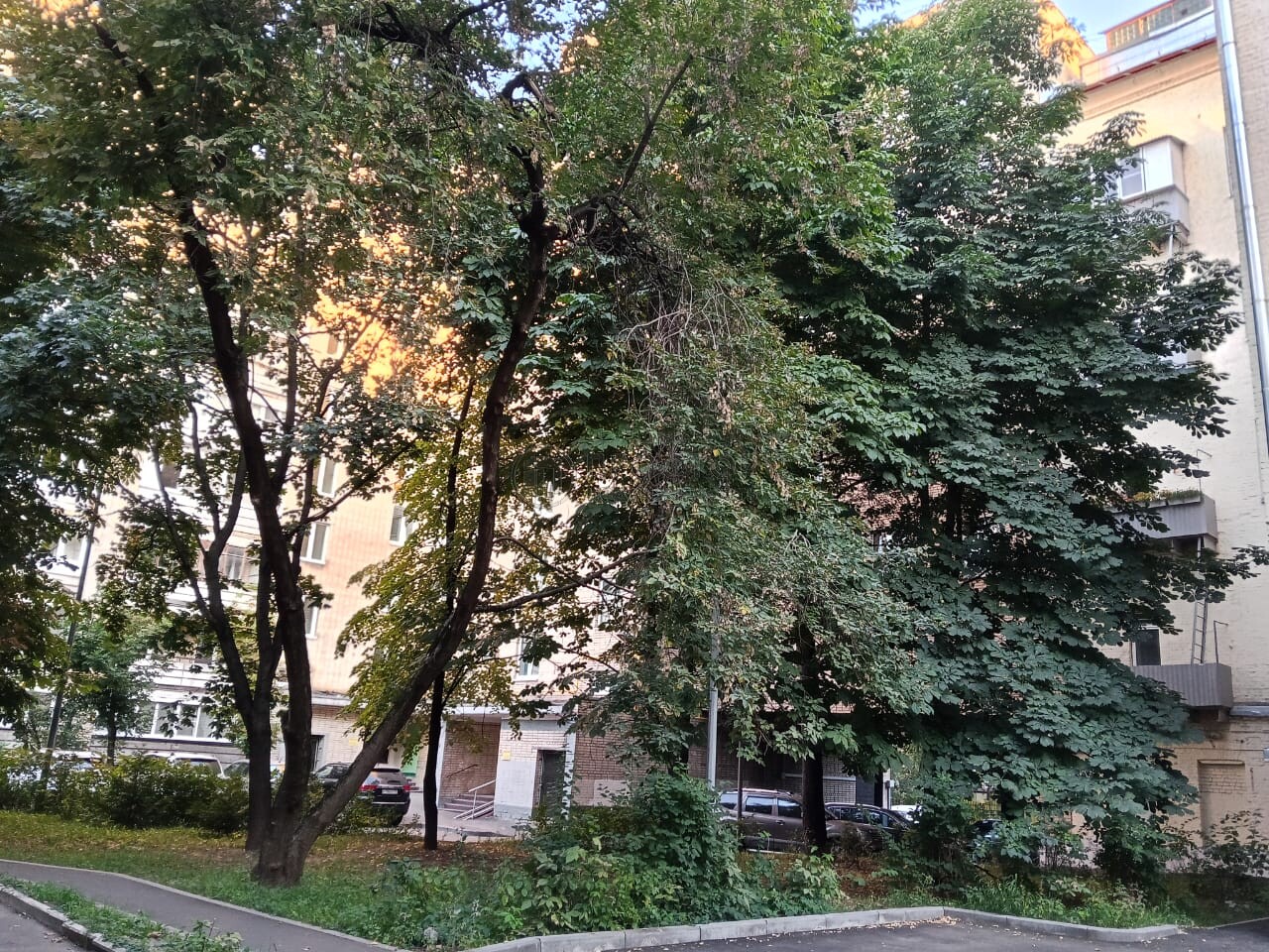3-комнатная квартира, 86.6 м² - фото 634