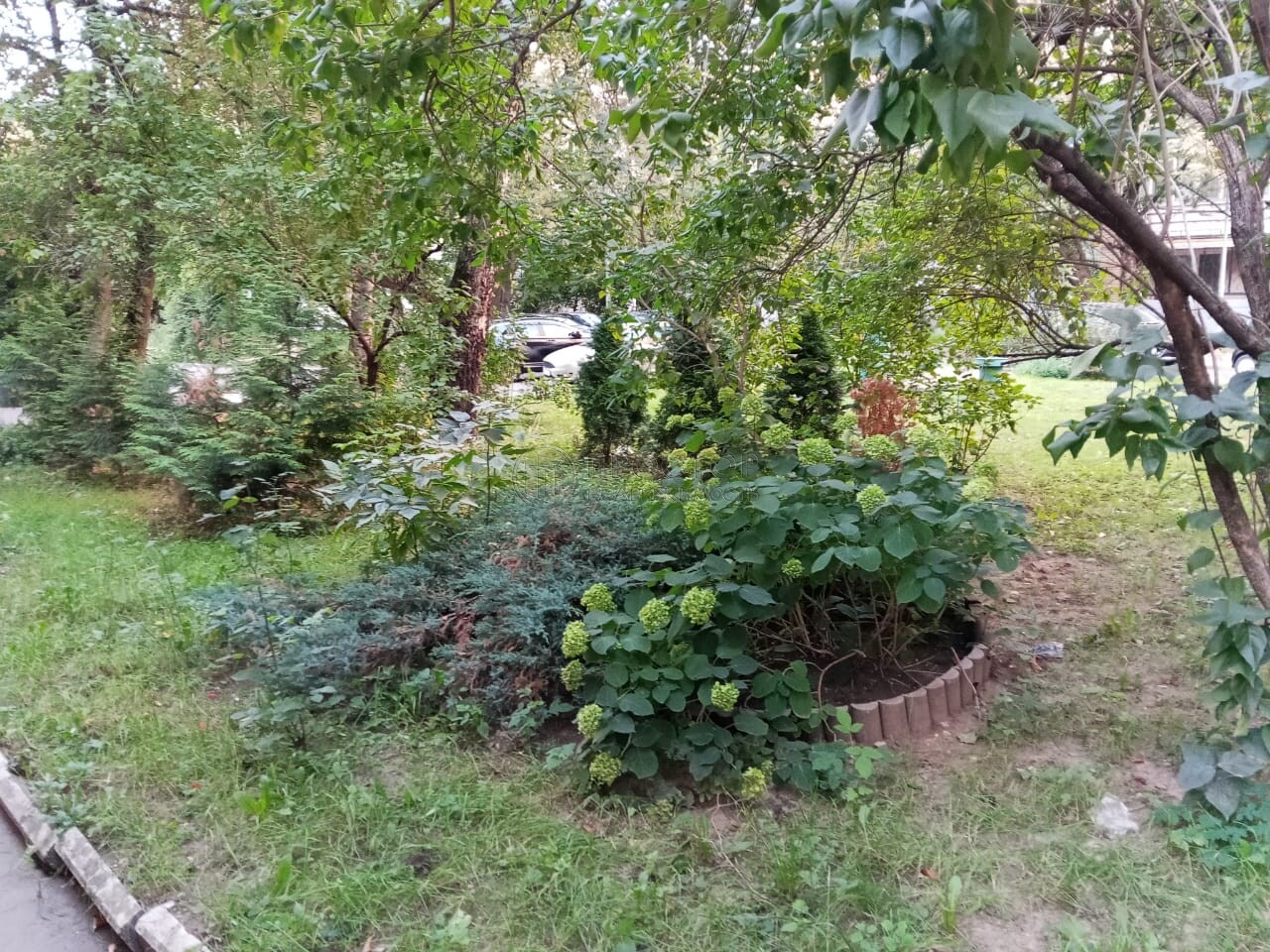 3-комнатная квартира, 86.6 м² - фото 954