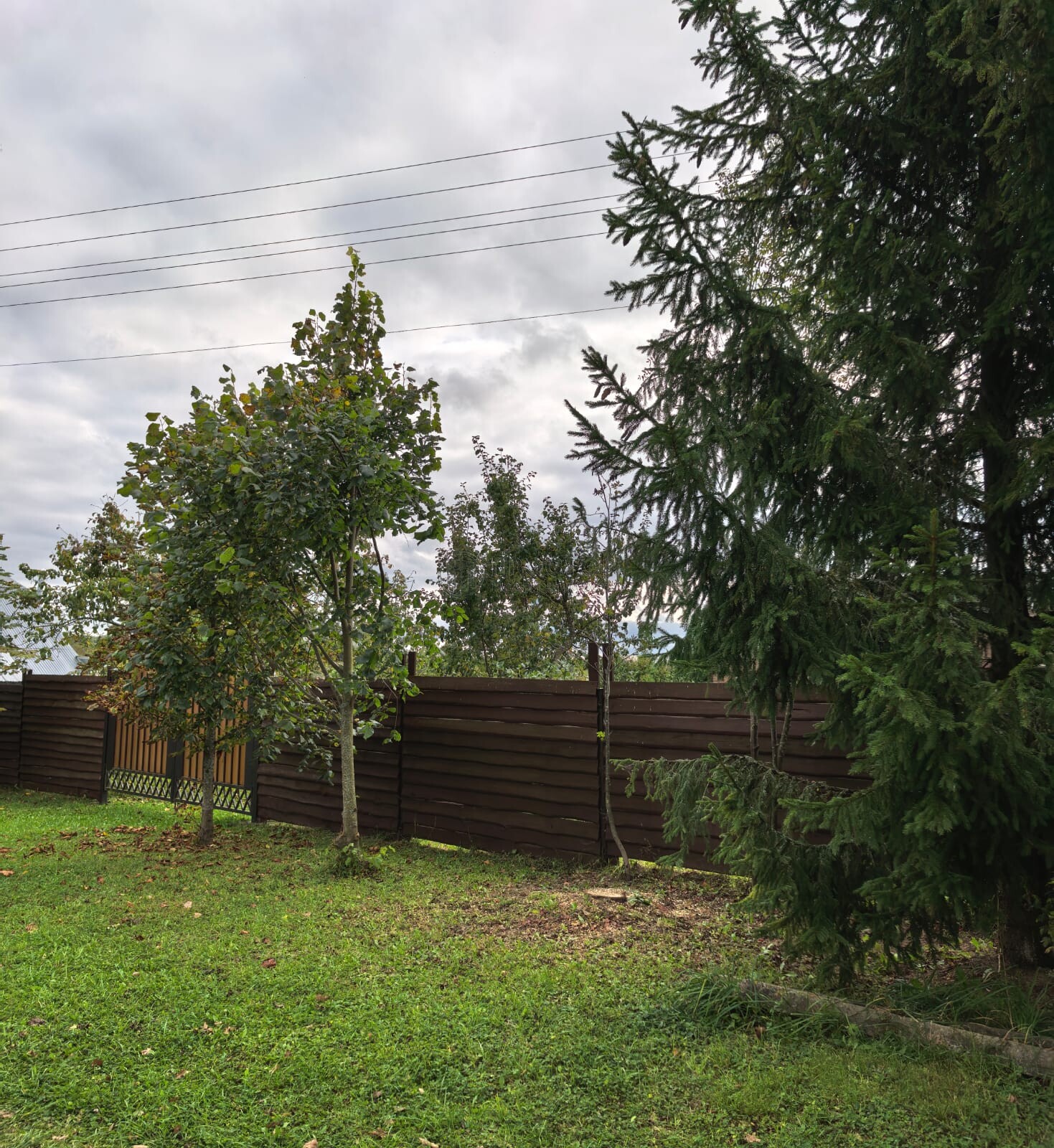 дом, 81 м² - фото 230
