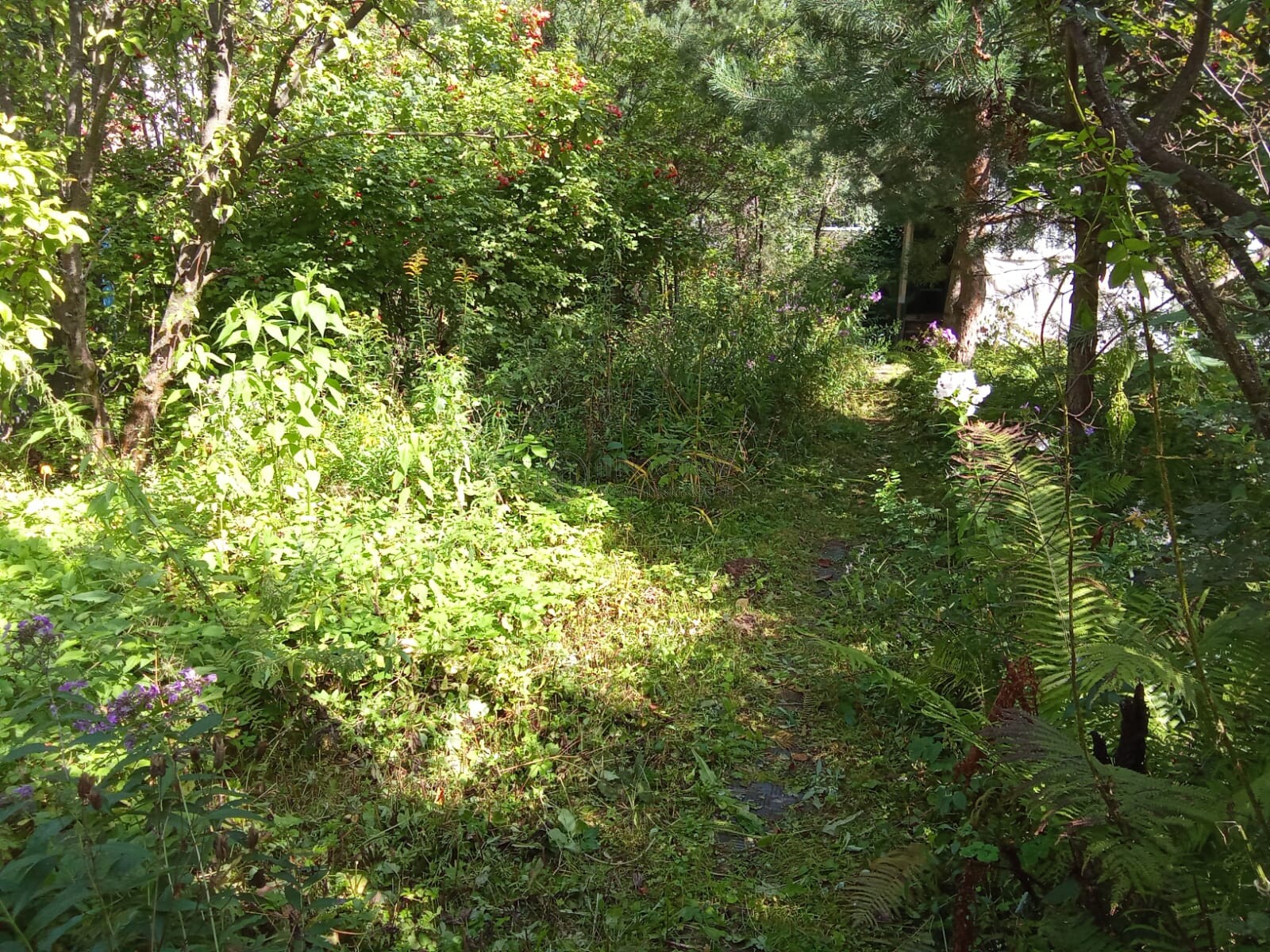 часть дома, 120 м² - фото 18