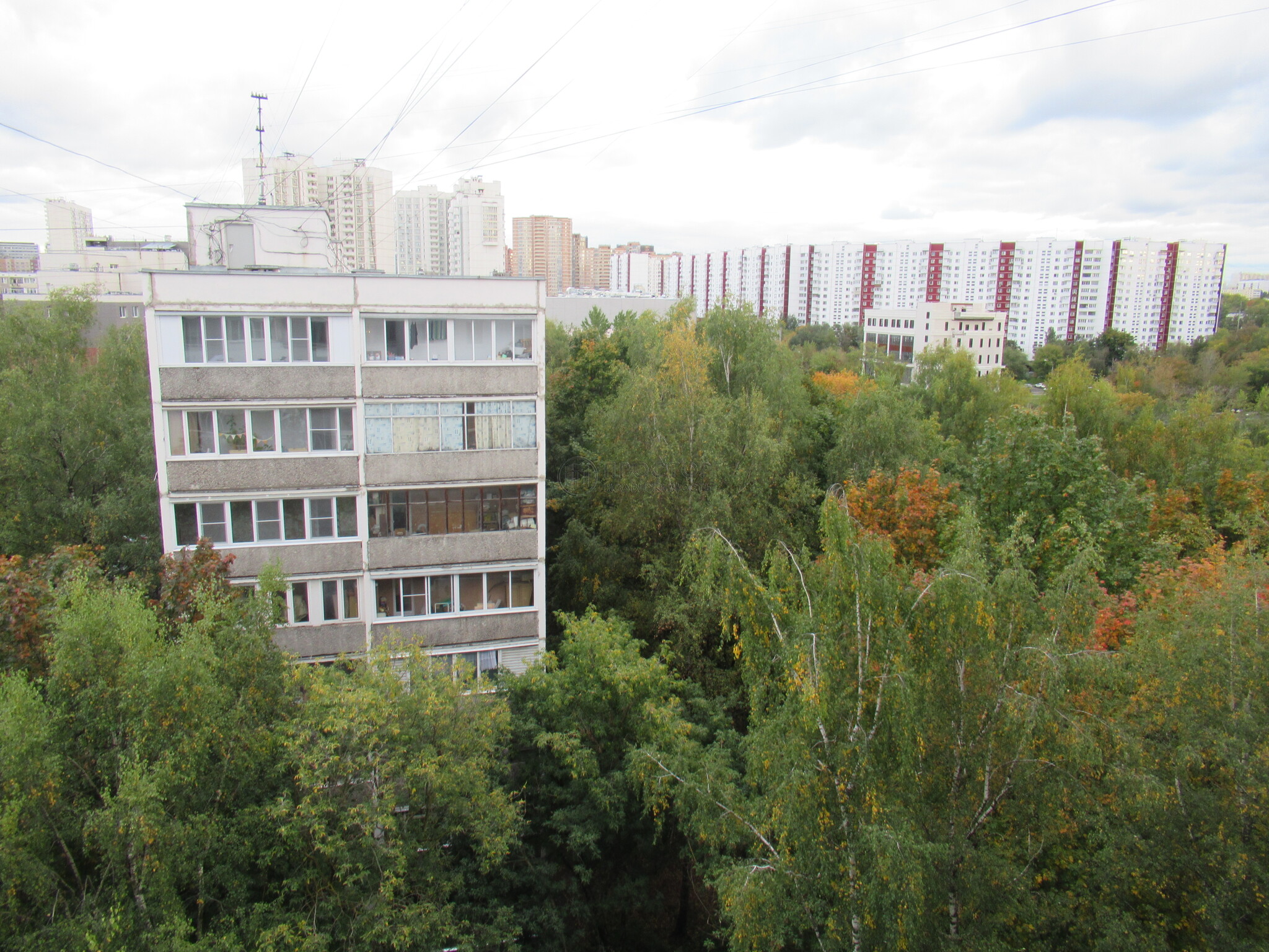1-комнатная квартира, 32 м² - фото 456