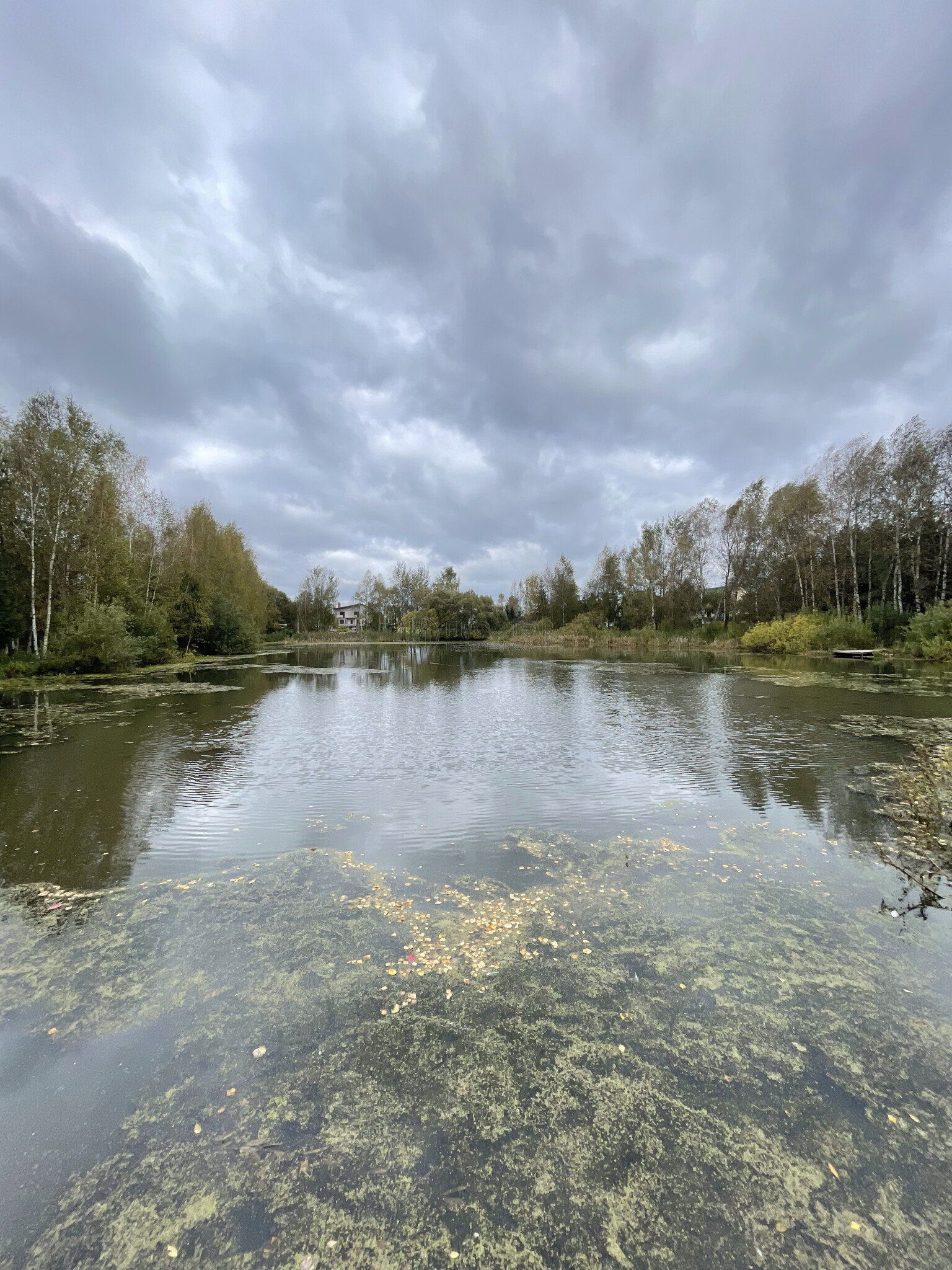 Участок, 11.57 сот. - фото 21