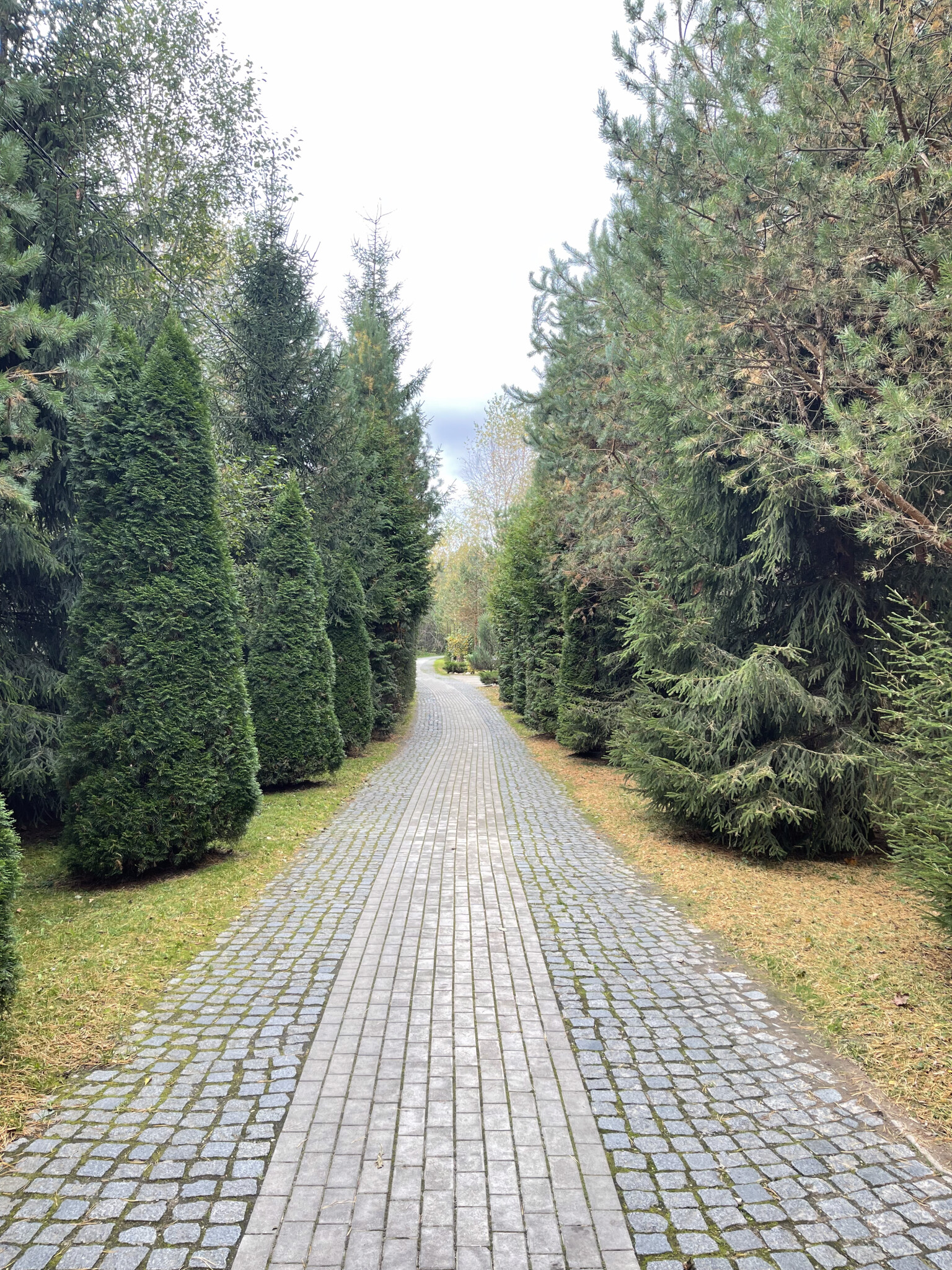 Участок, 11.57 сот. - фото 23