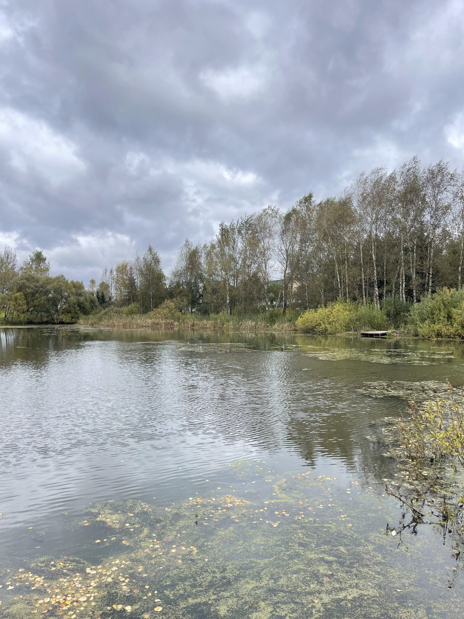 Участок, 11.57 сот. - фото 30