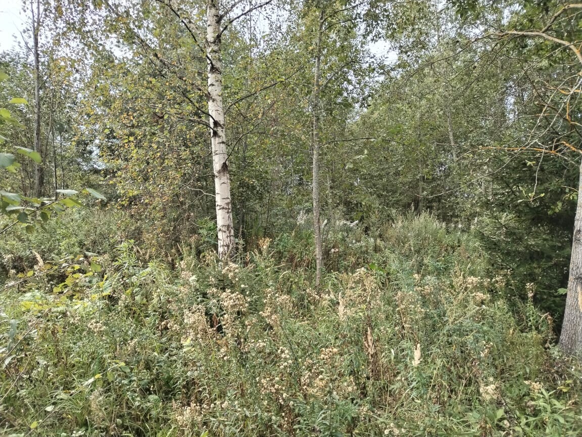 Участок, 15 сот. - фото 10