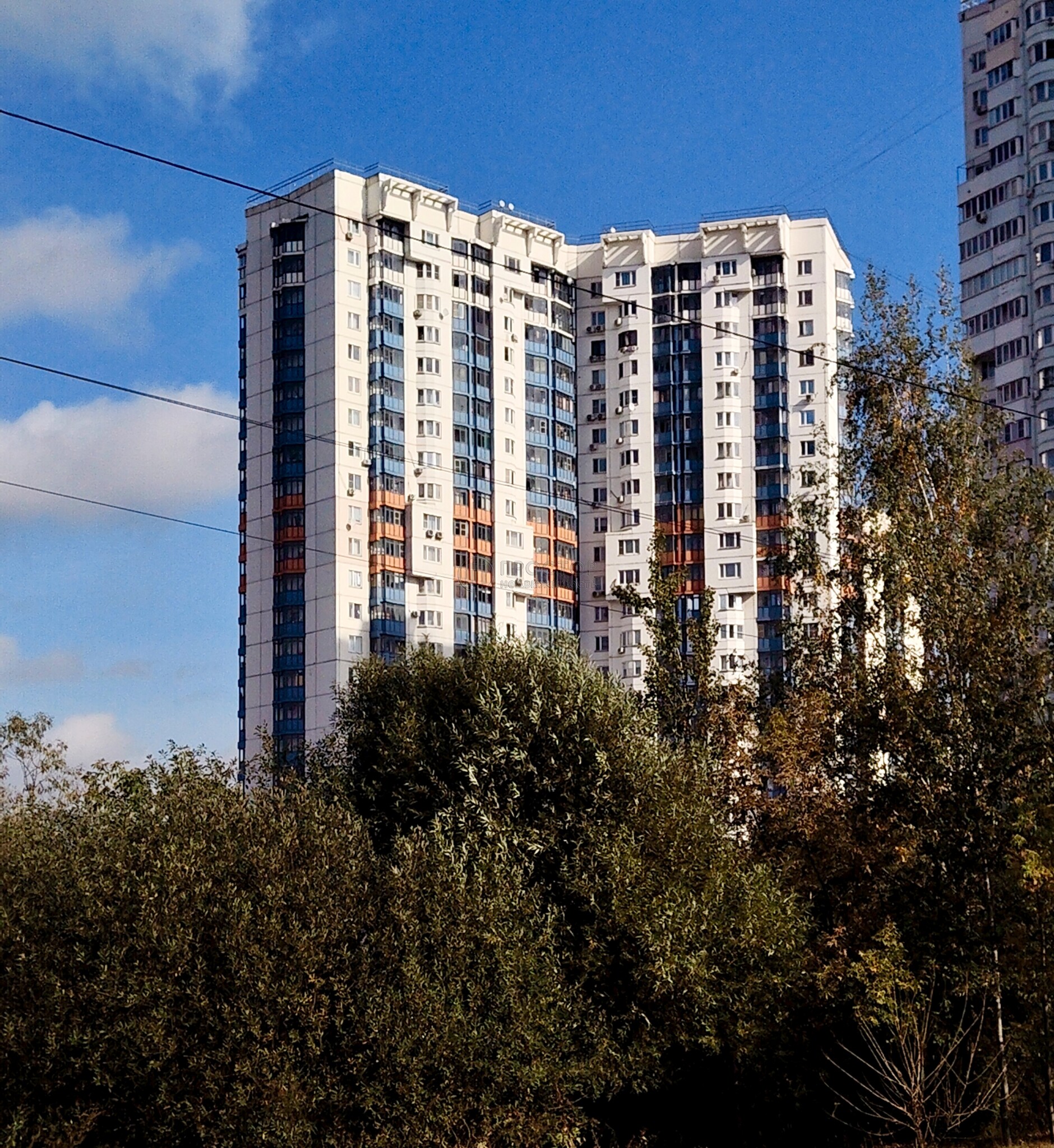 1-комнатная квартира, 49.2 м² - фото 535