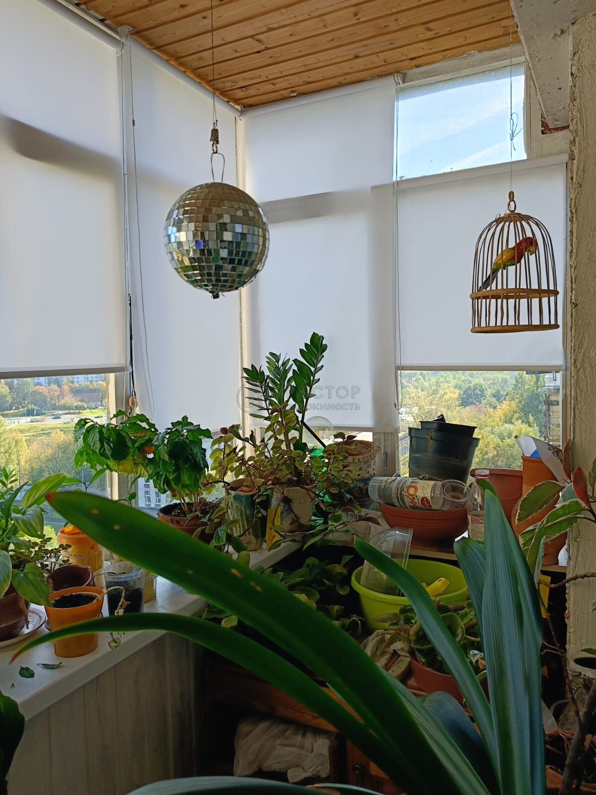 2-комнатная квартира, 46.5 м² - фото 5